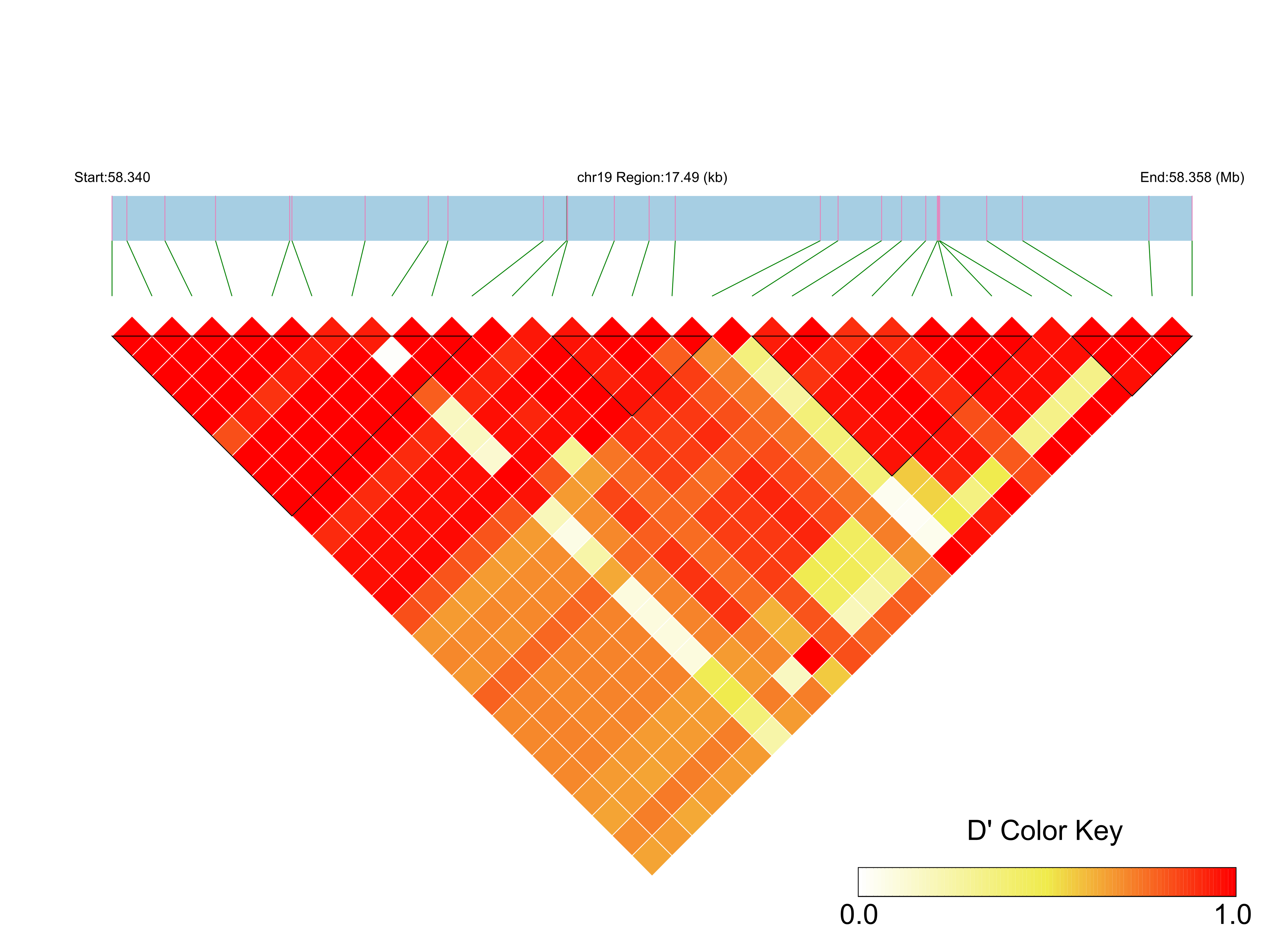 LD