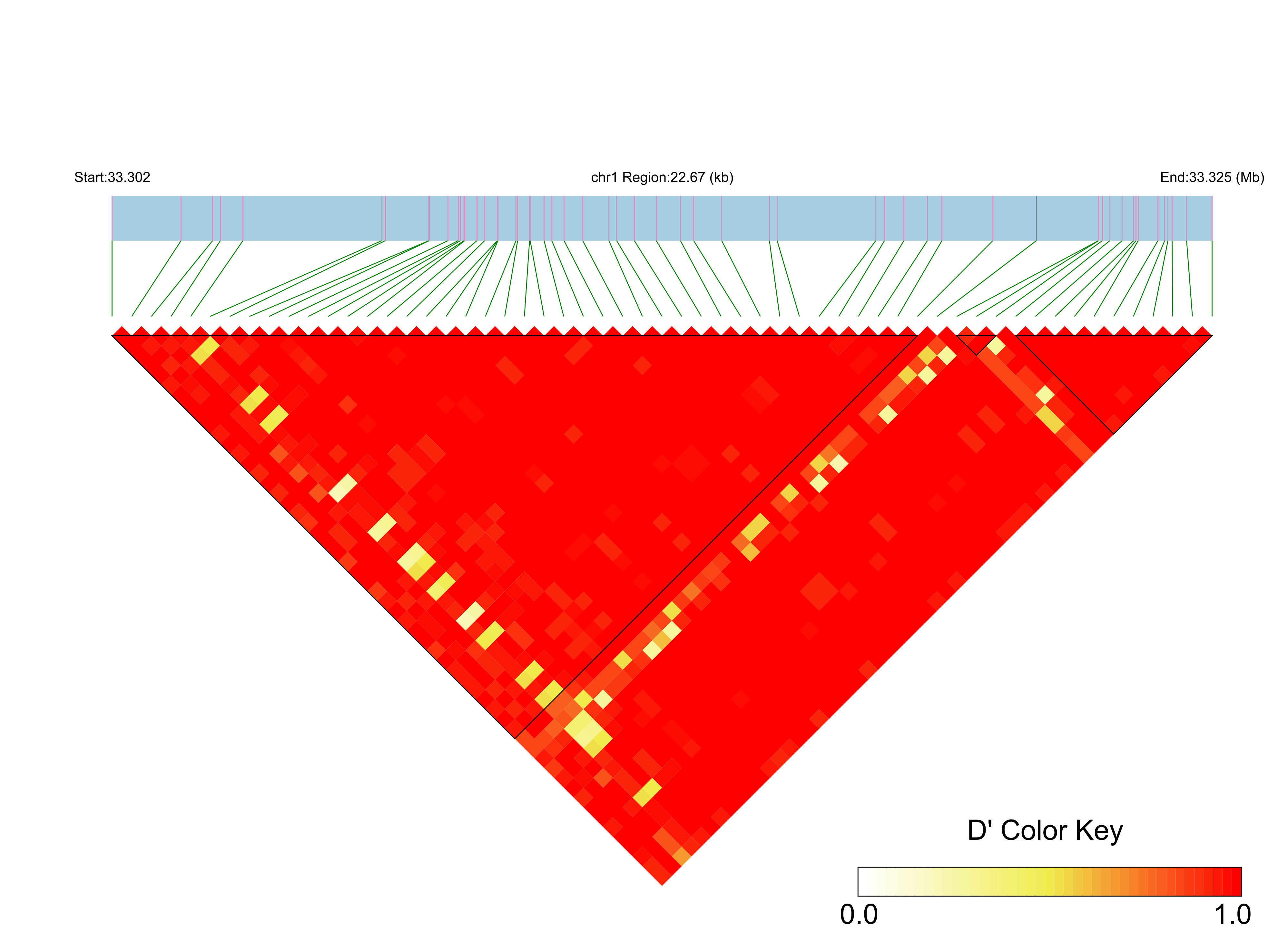 LD