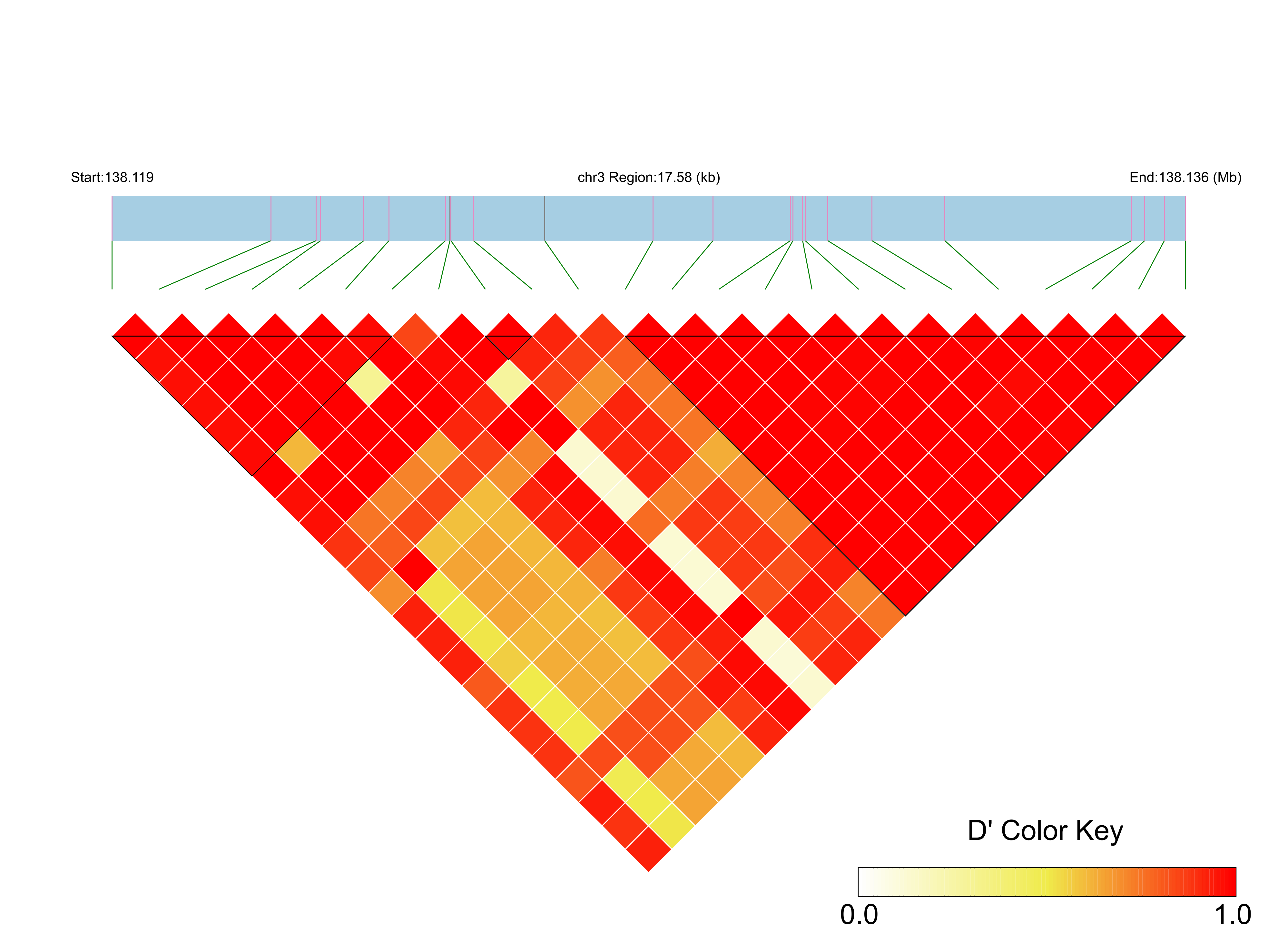 LD