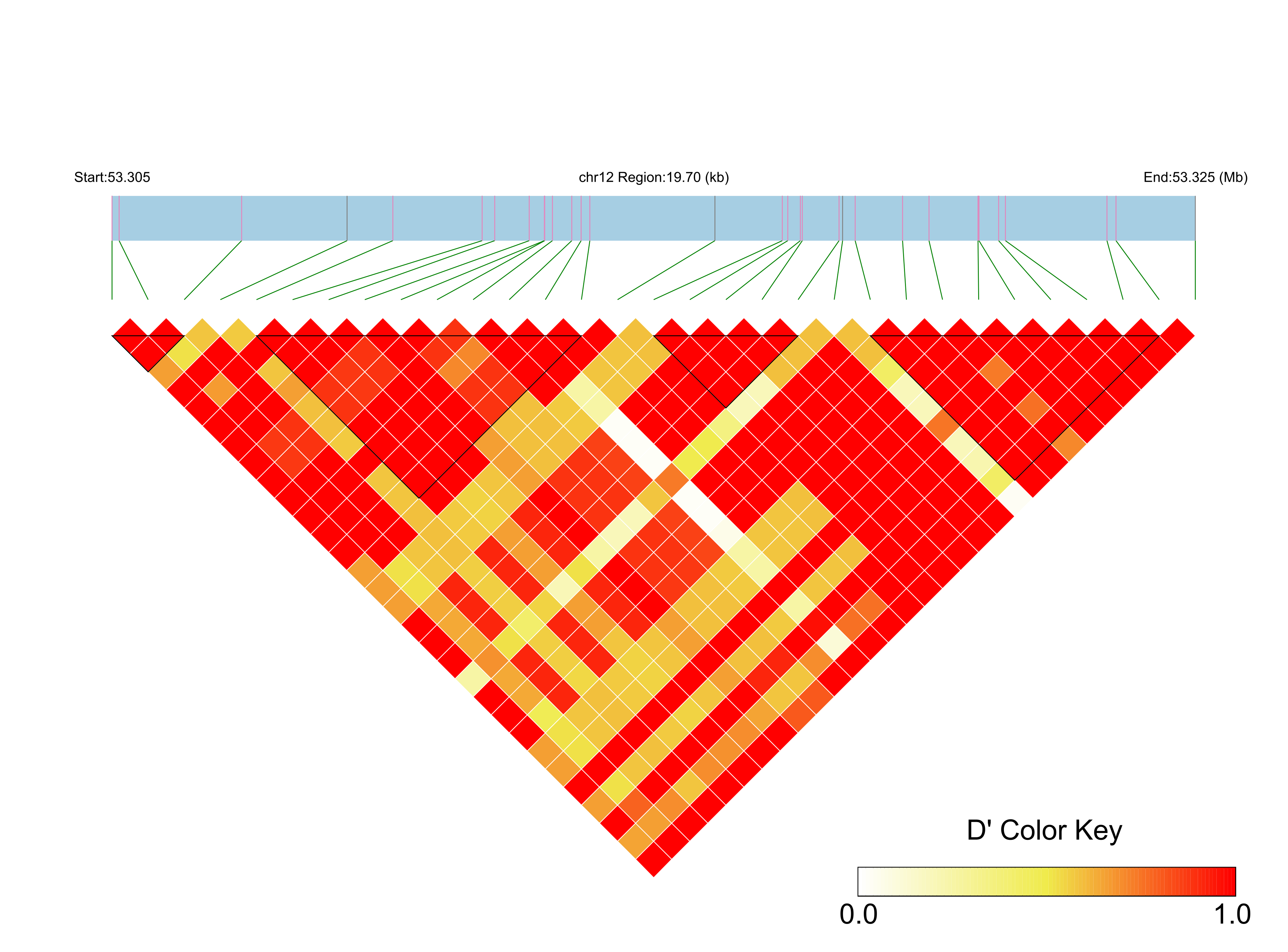 LD