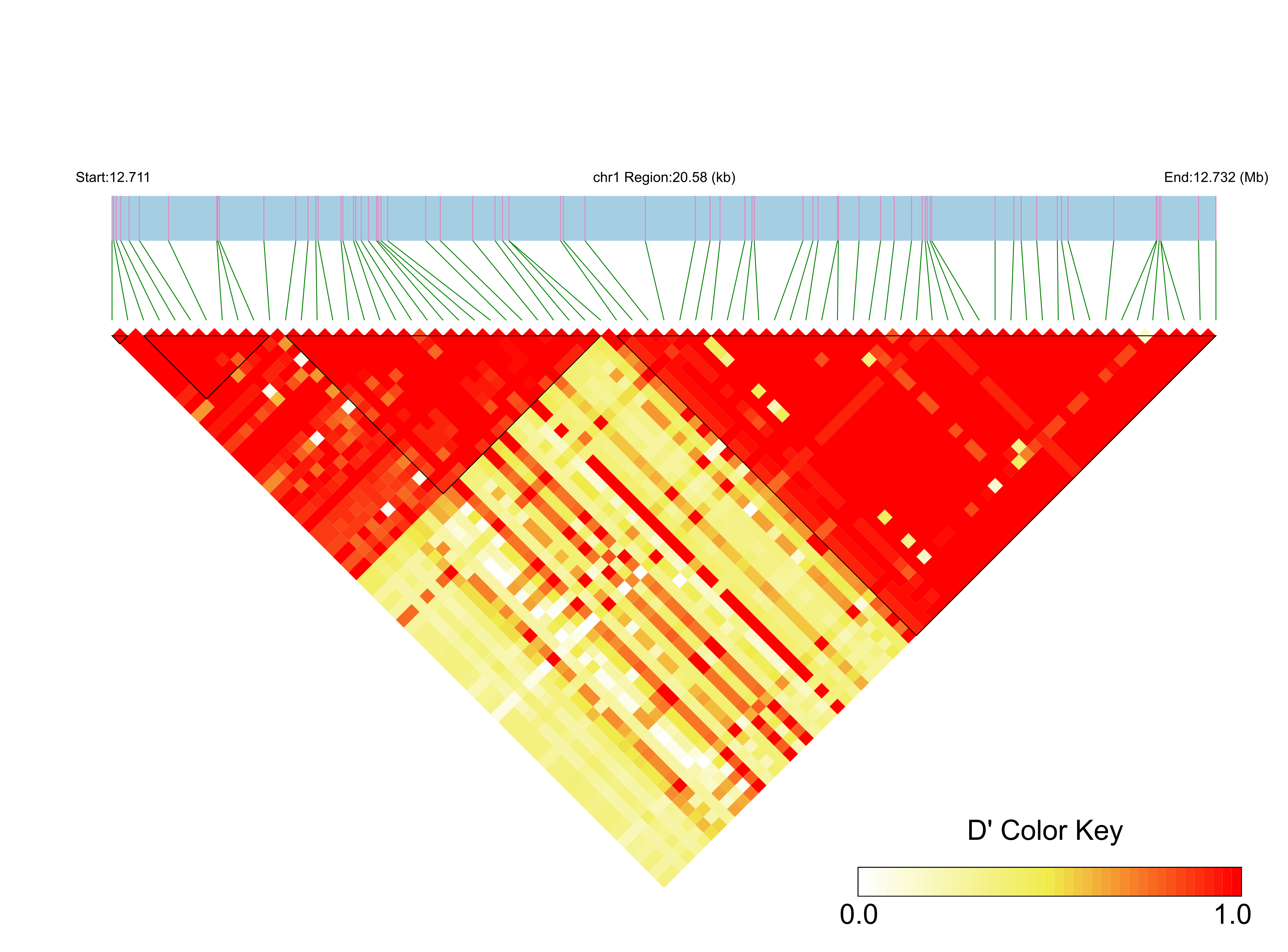 LD