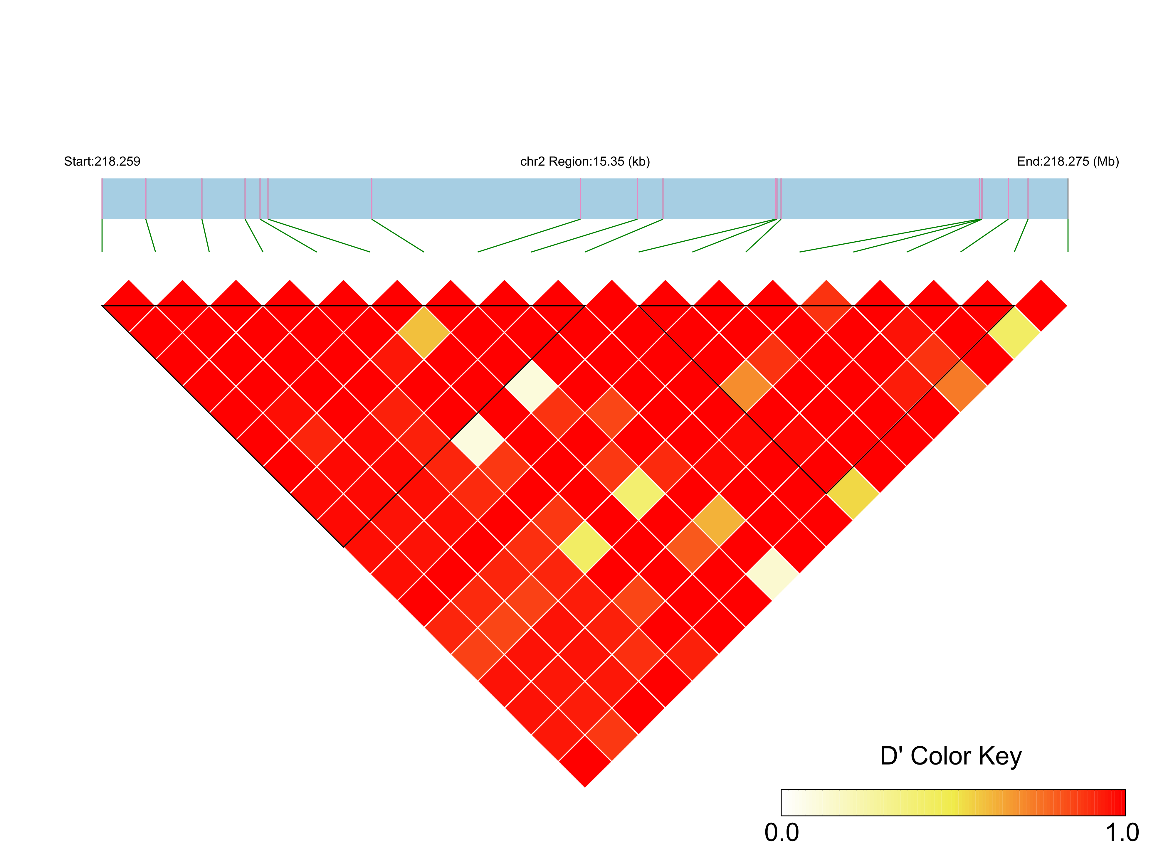 LD