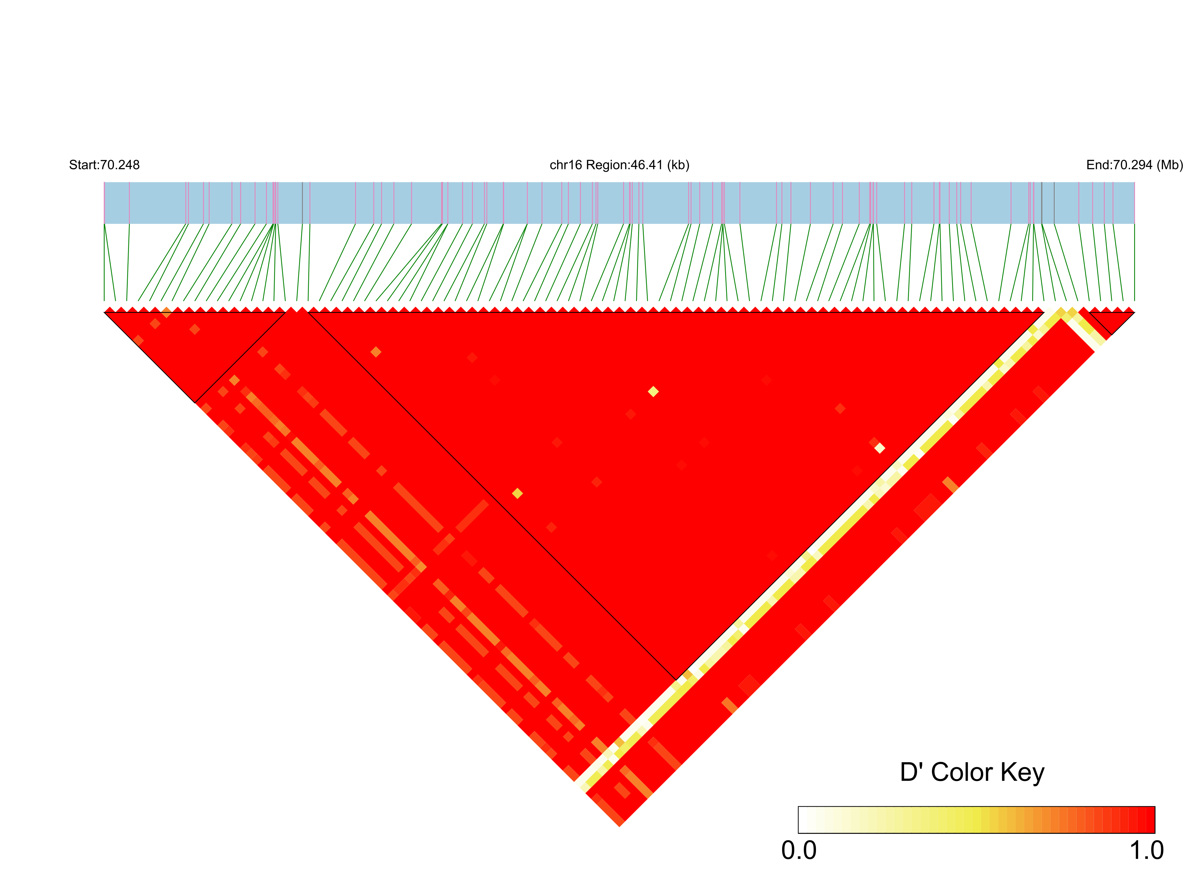 LD