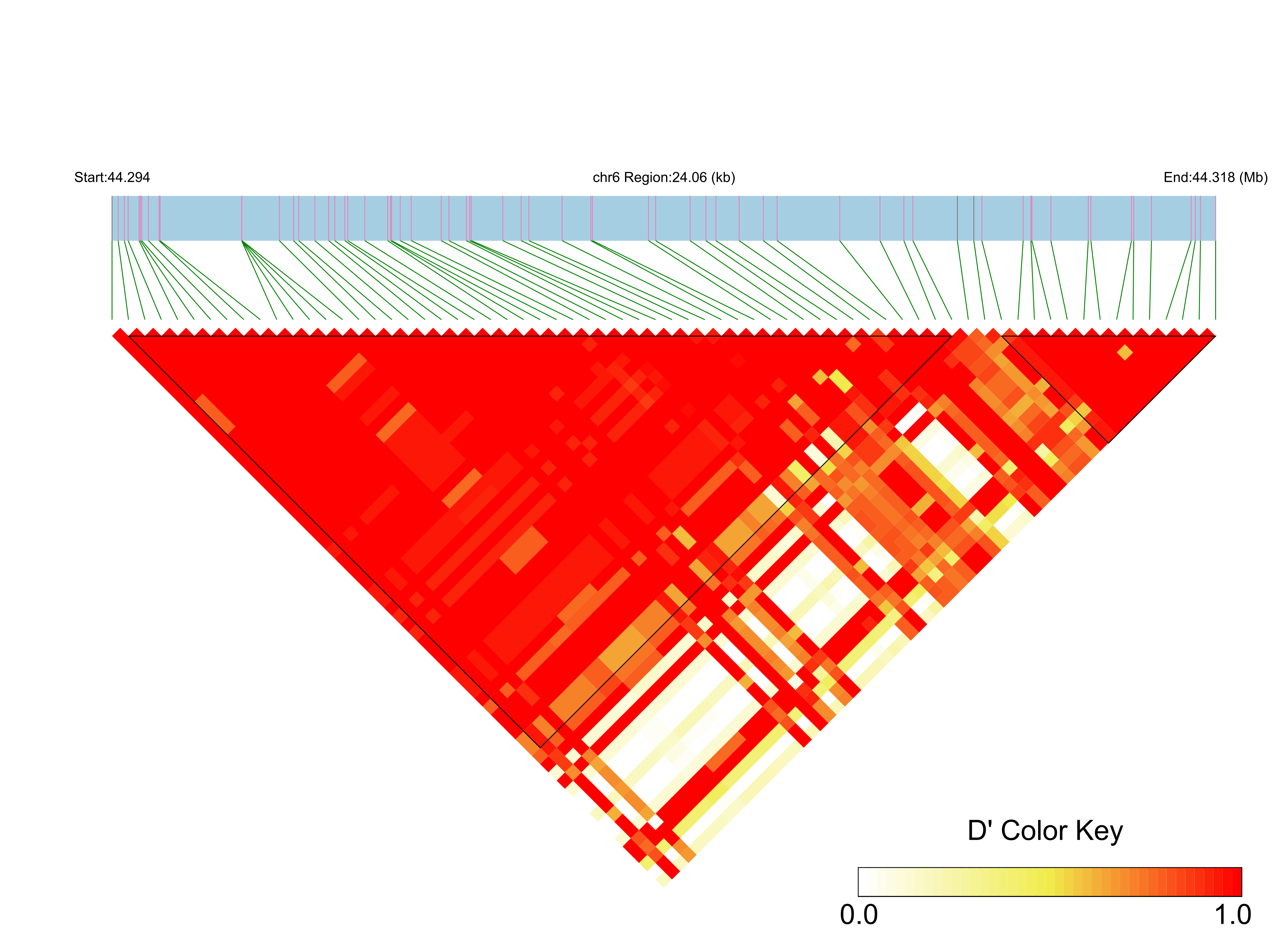 LD
