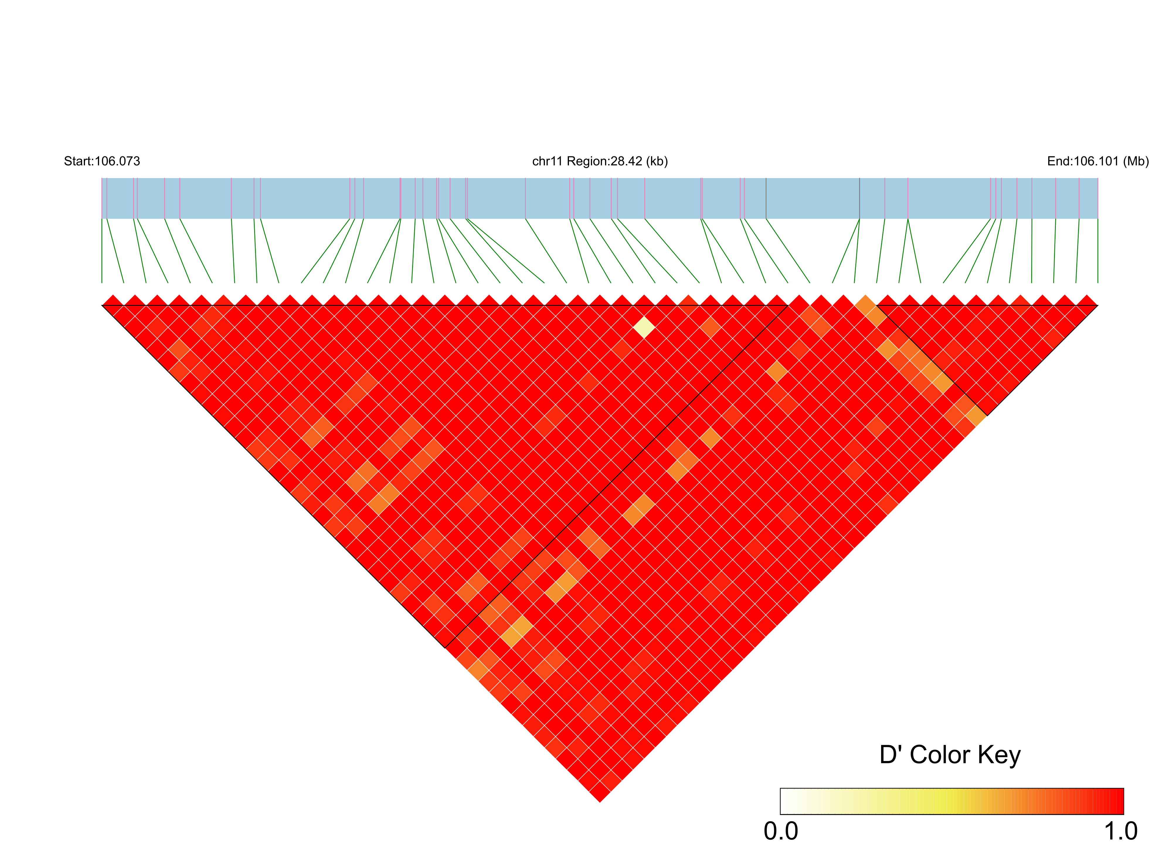 LD