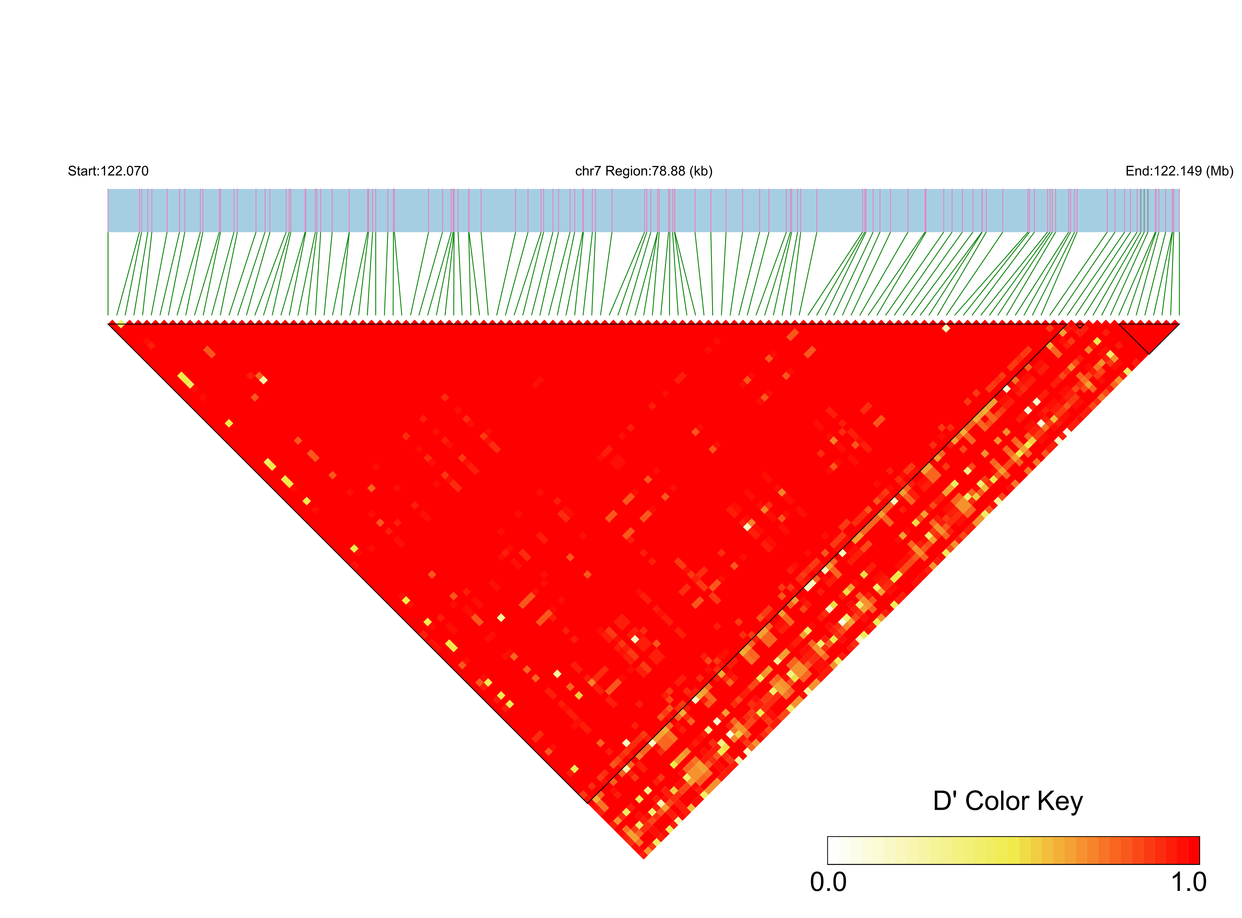 LD
