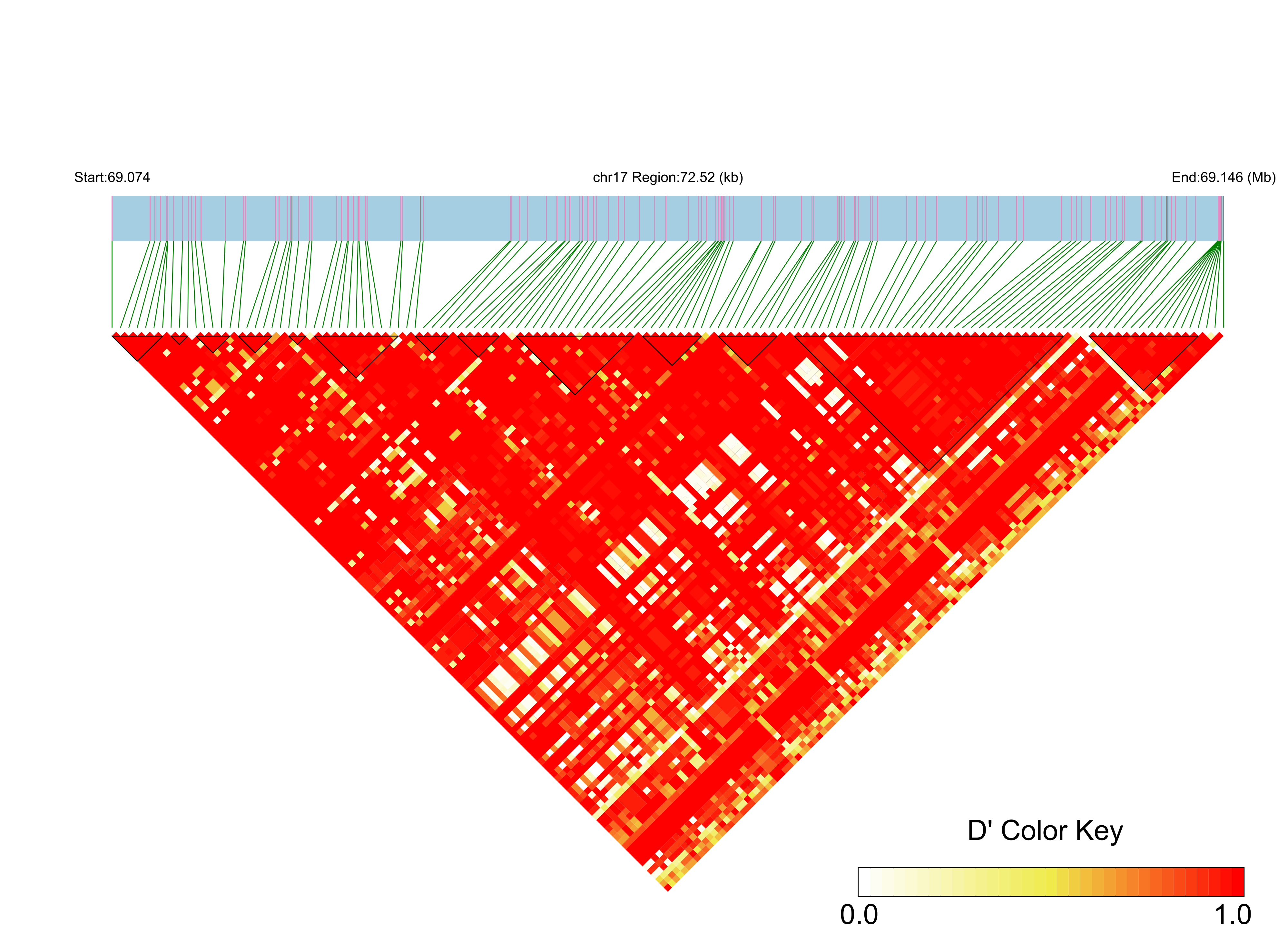 LD