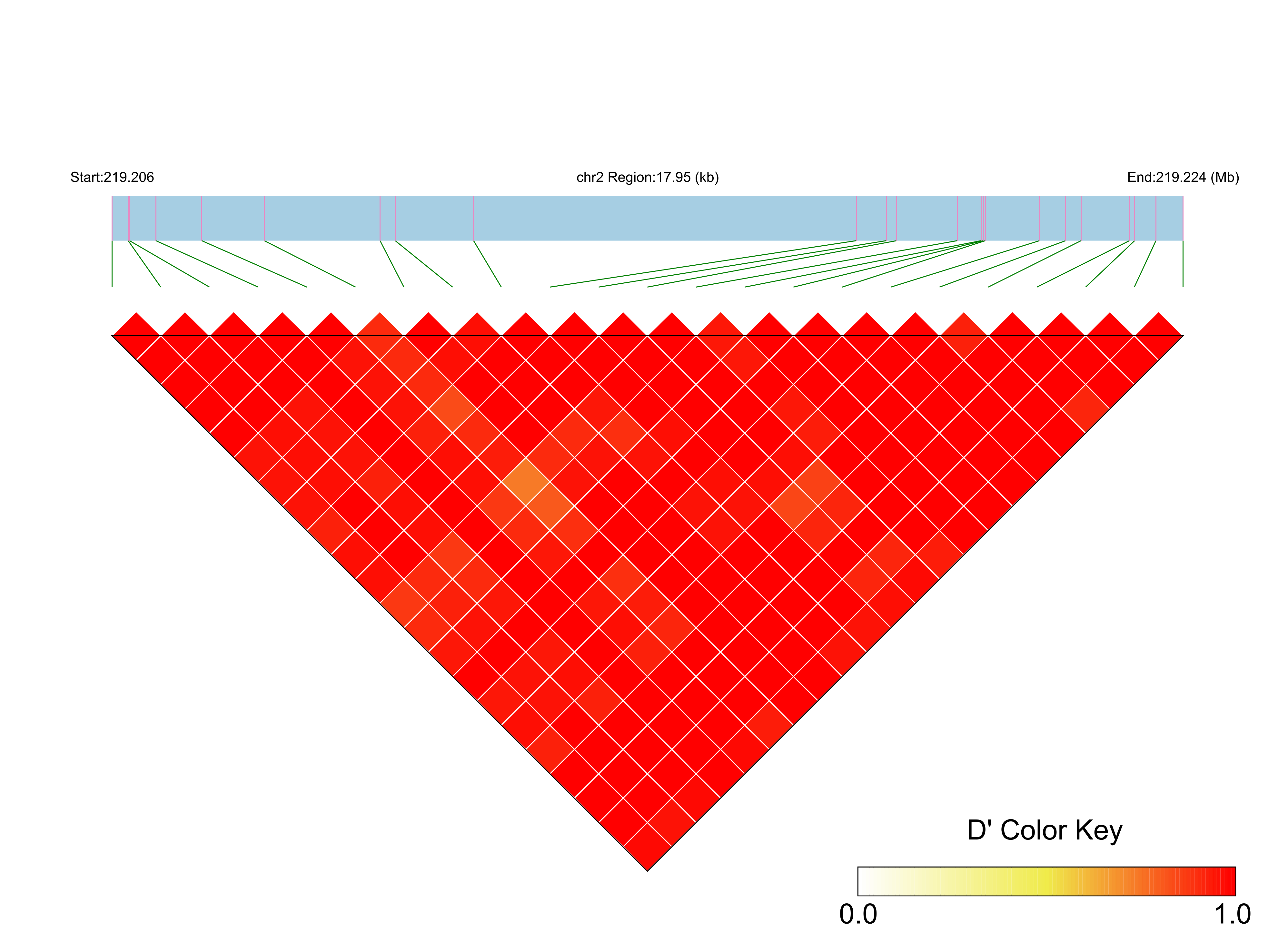 LD