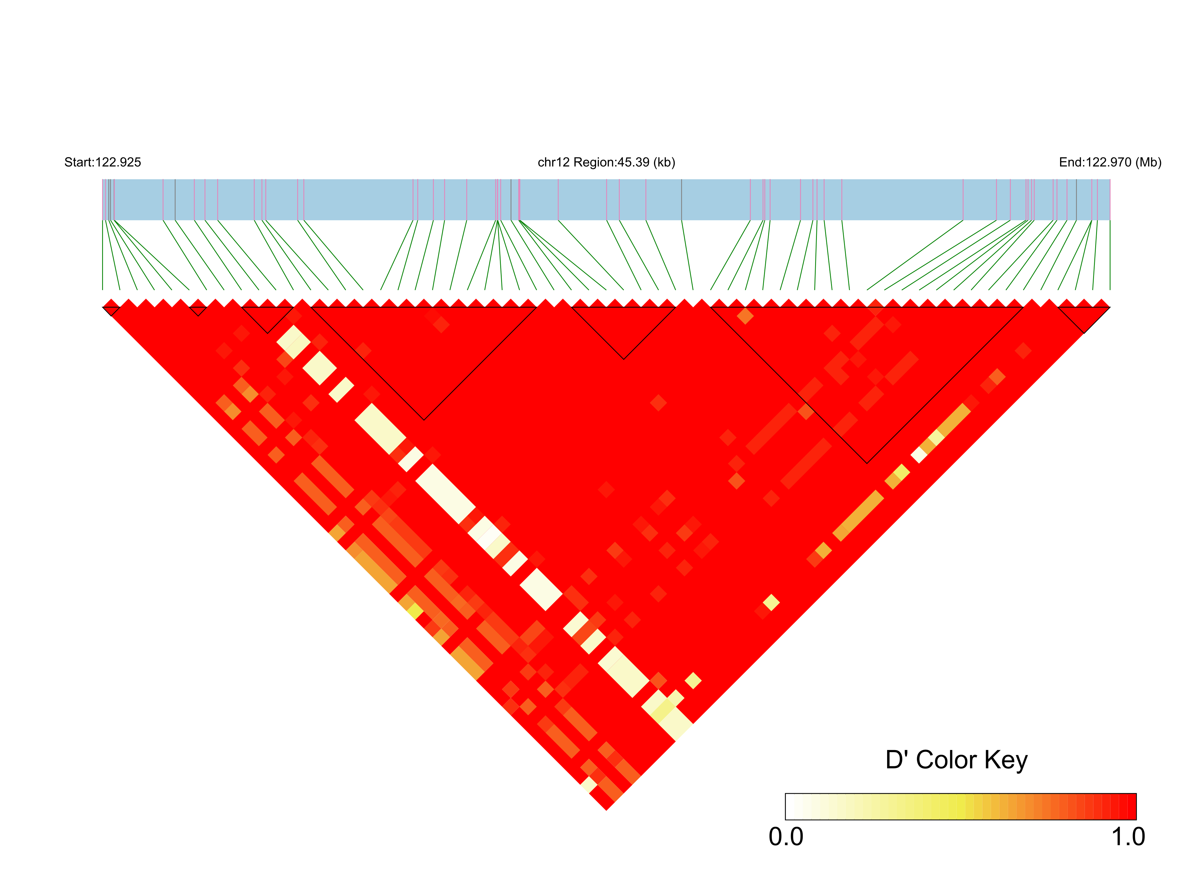 LD
