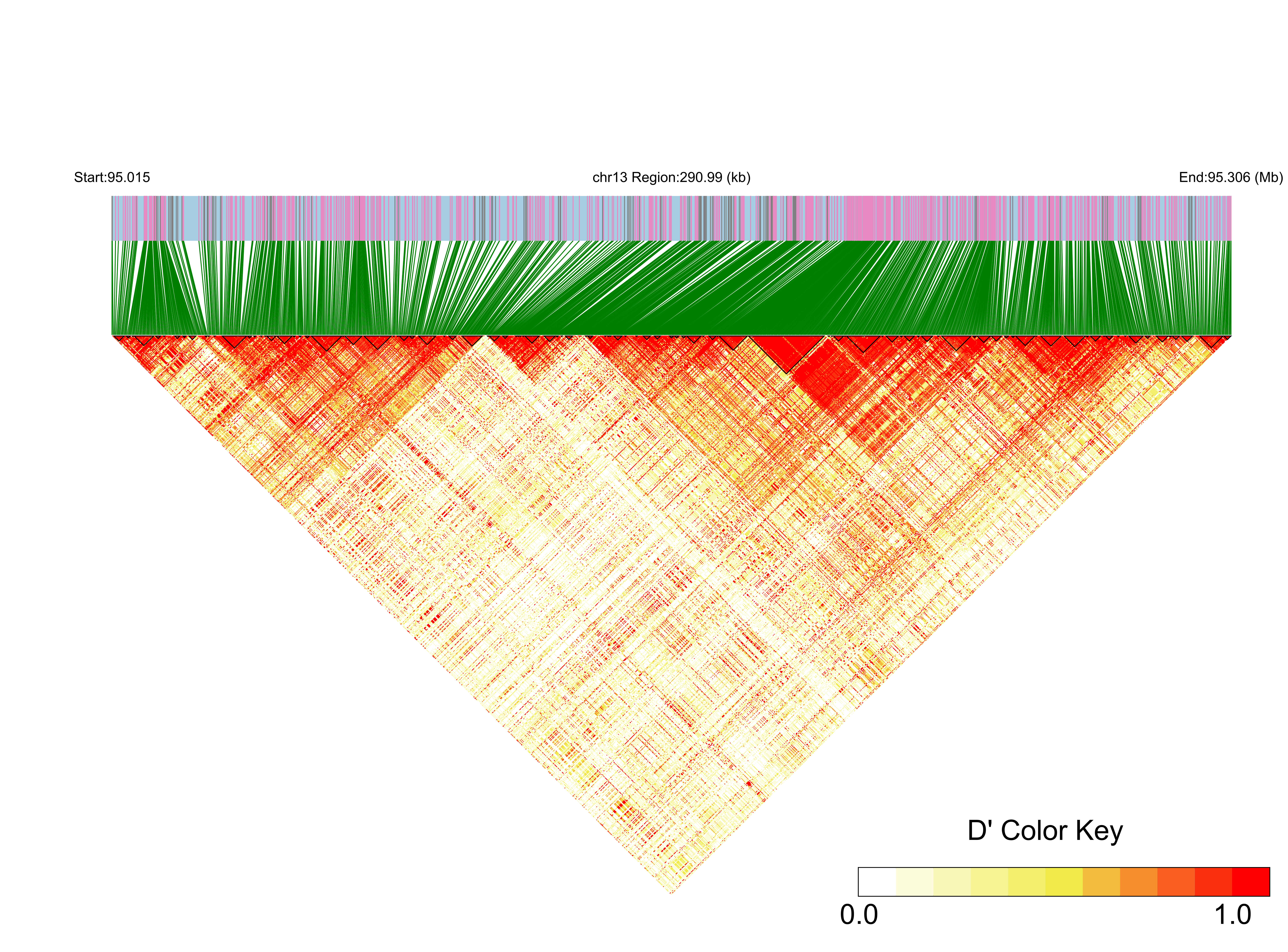 LD