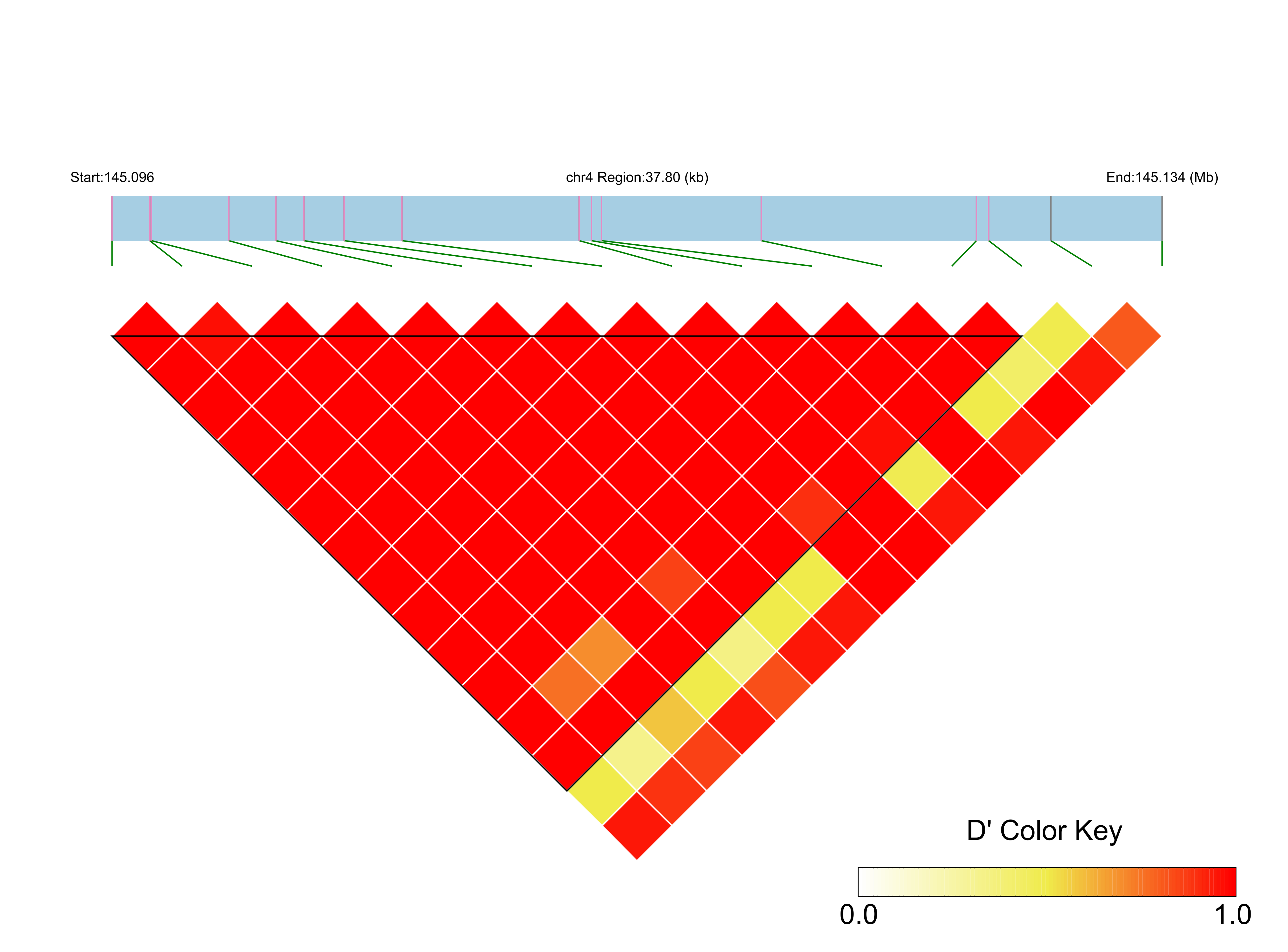 LD