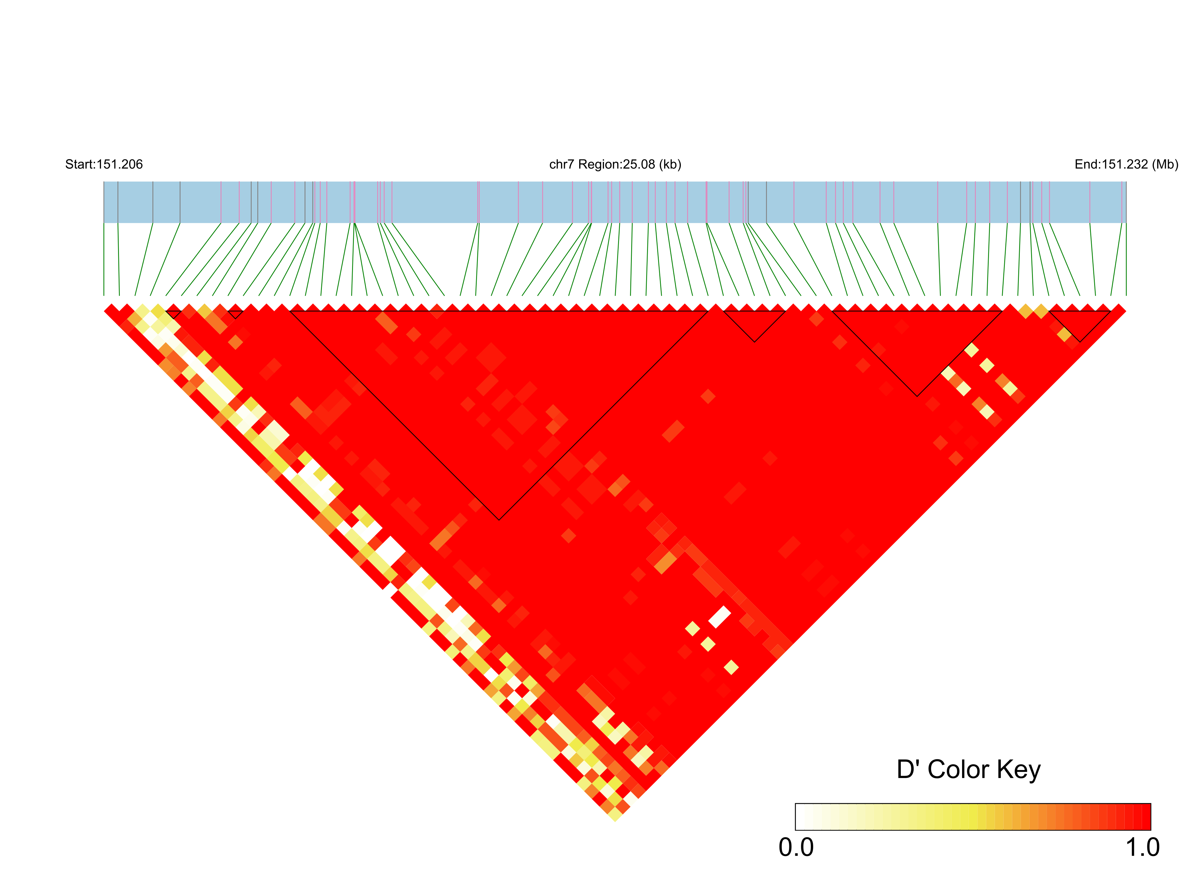 LD