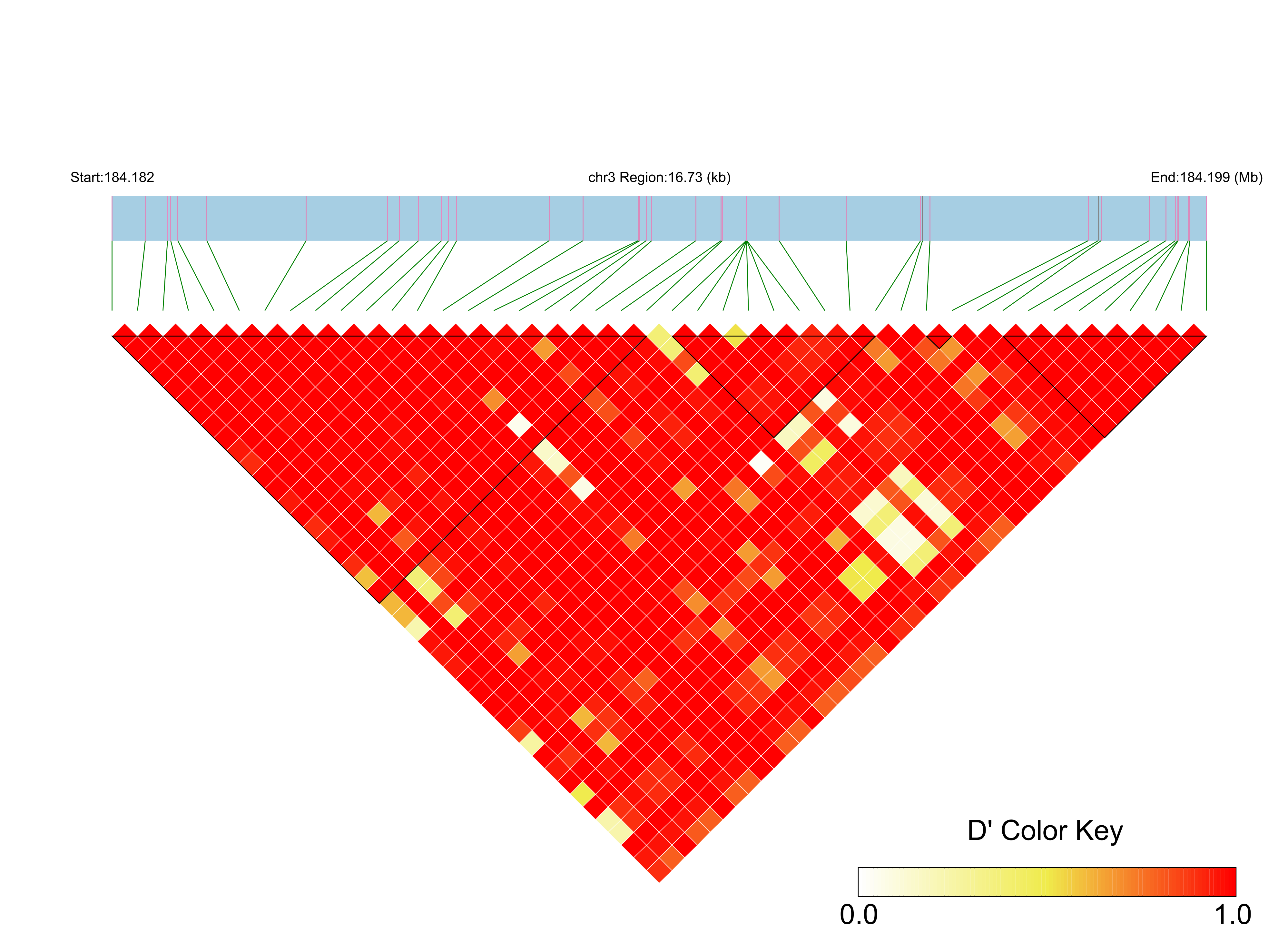 LD