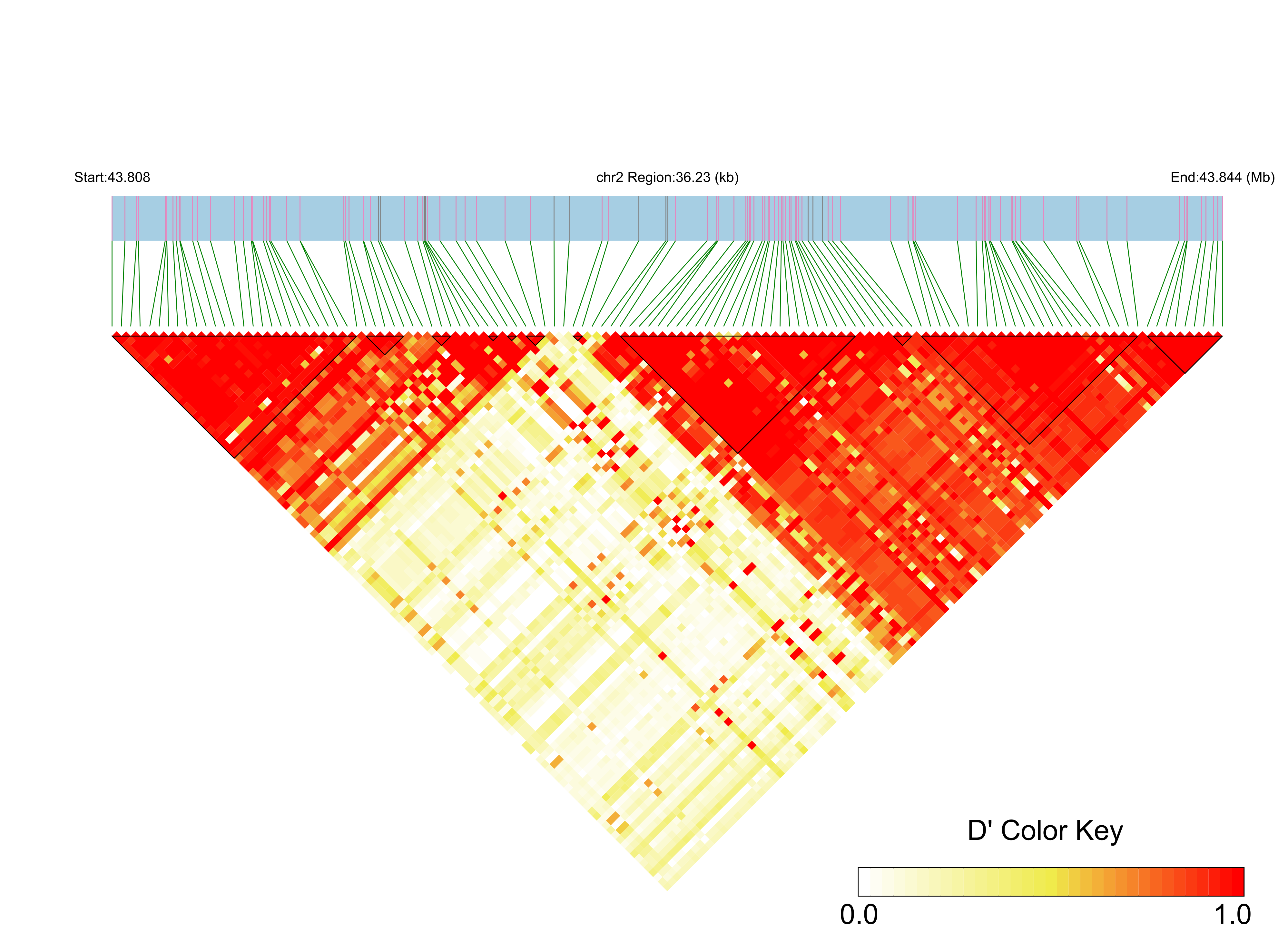 LD
