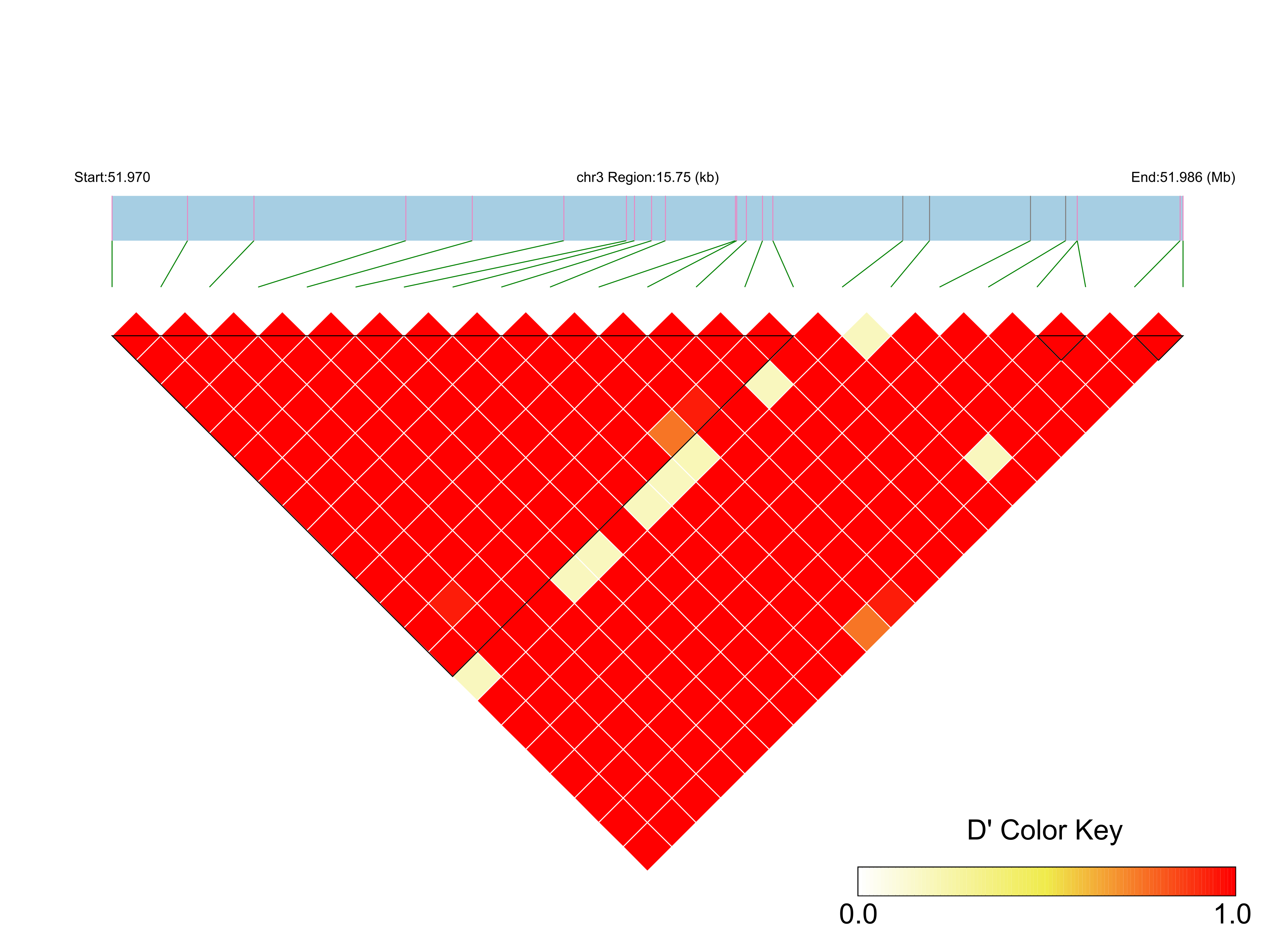 LD