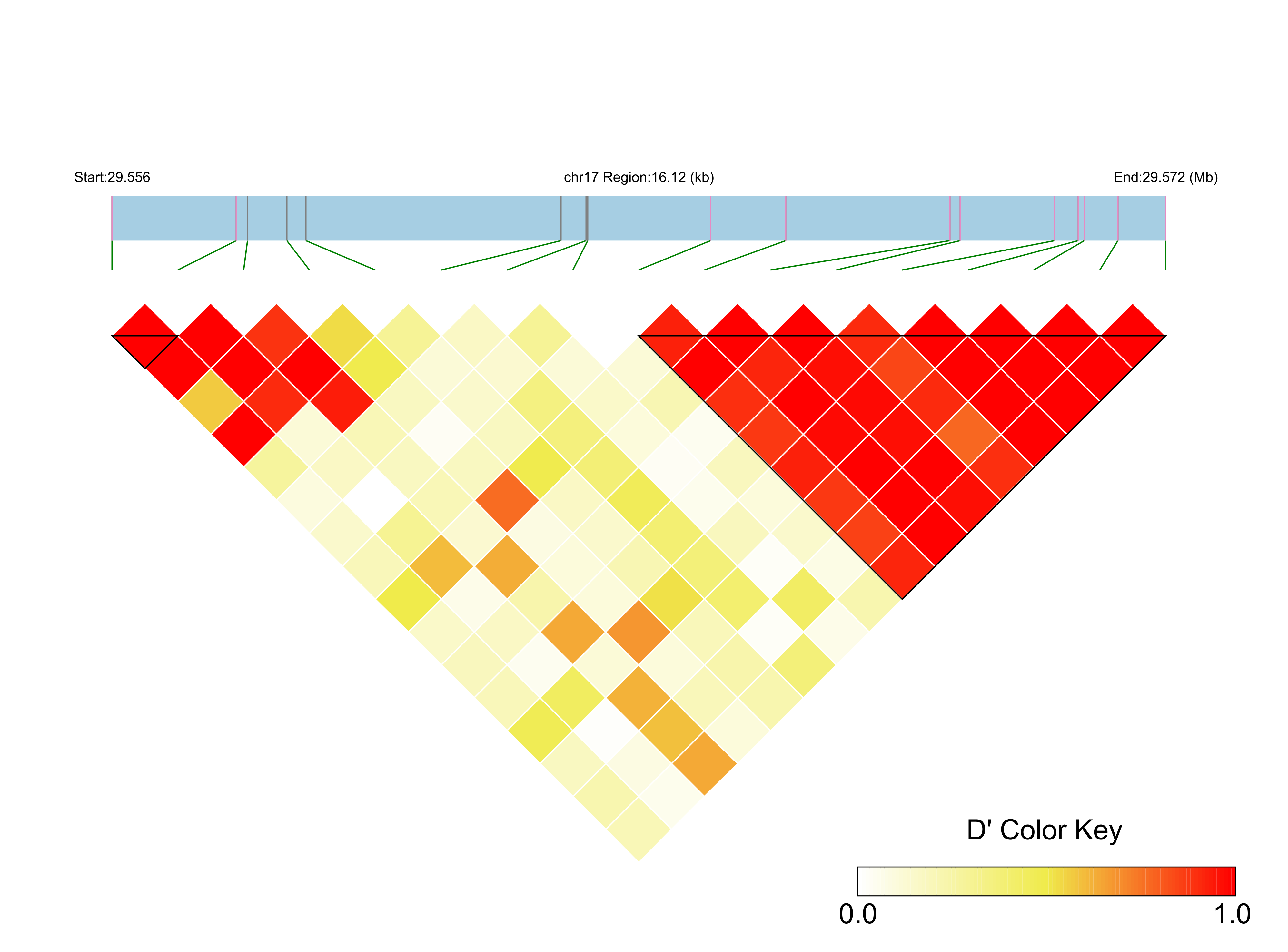 LD