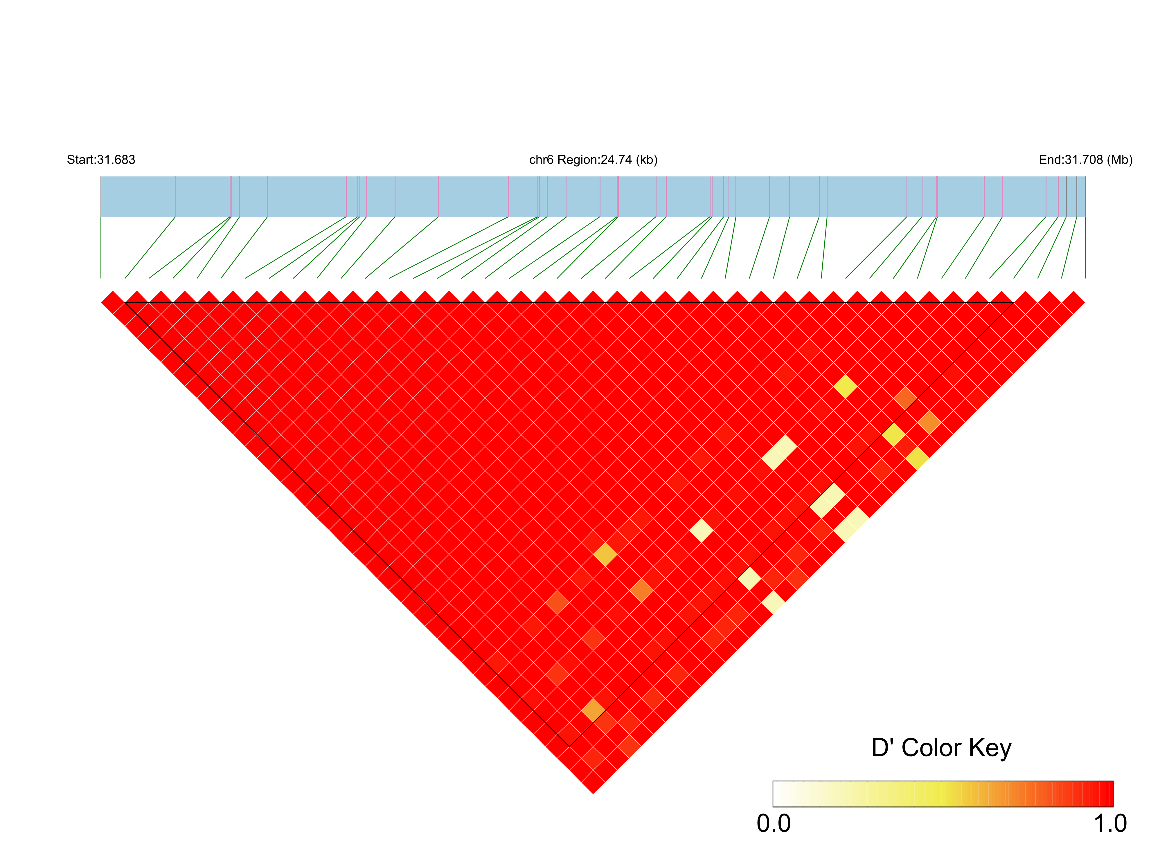 LD
