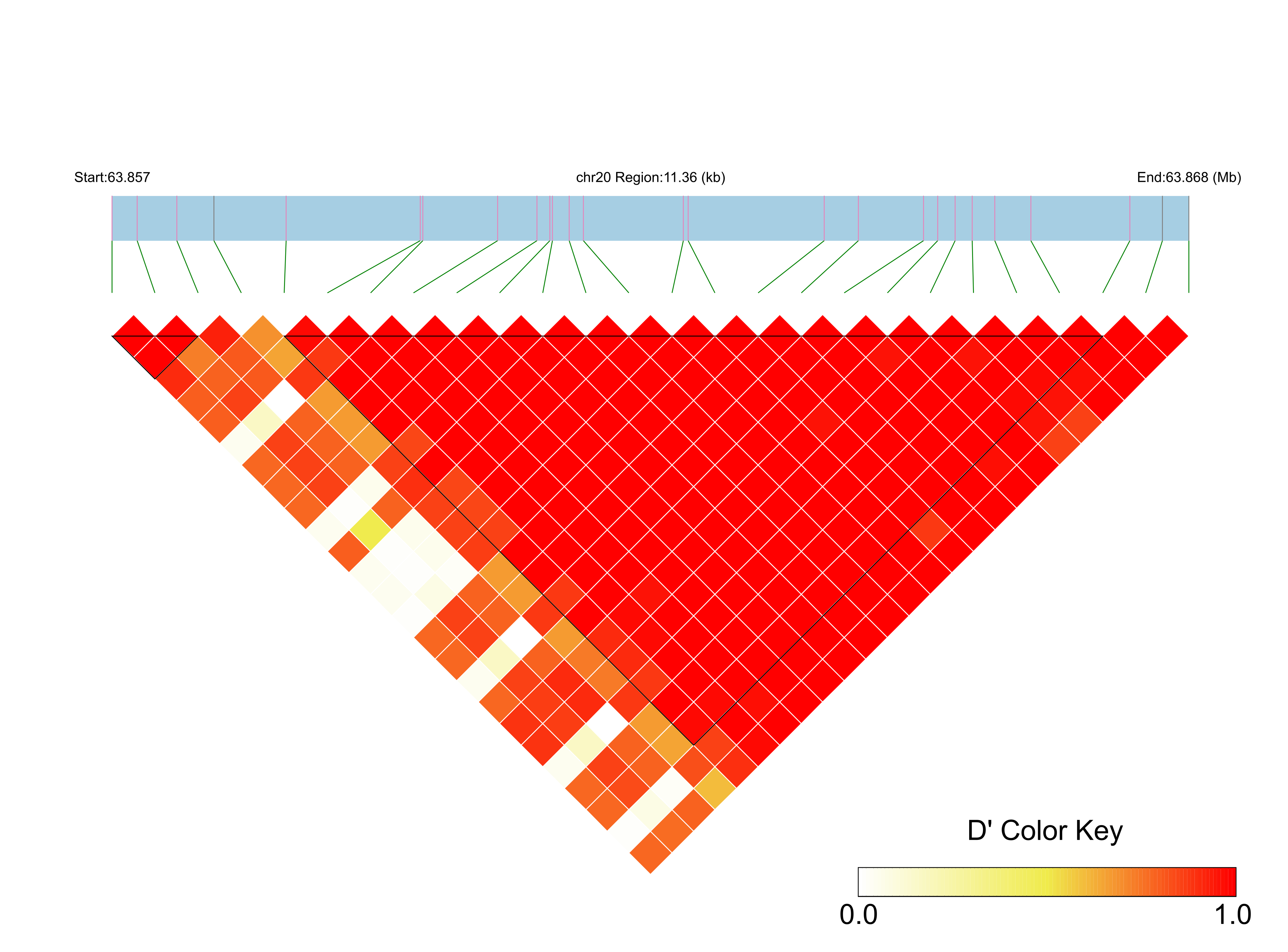 LD