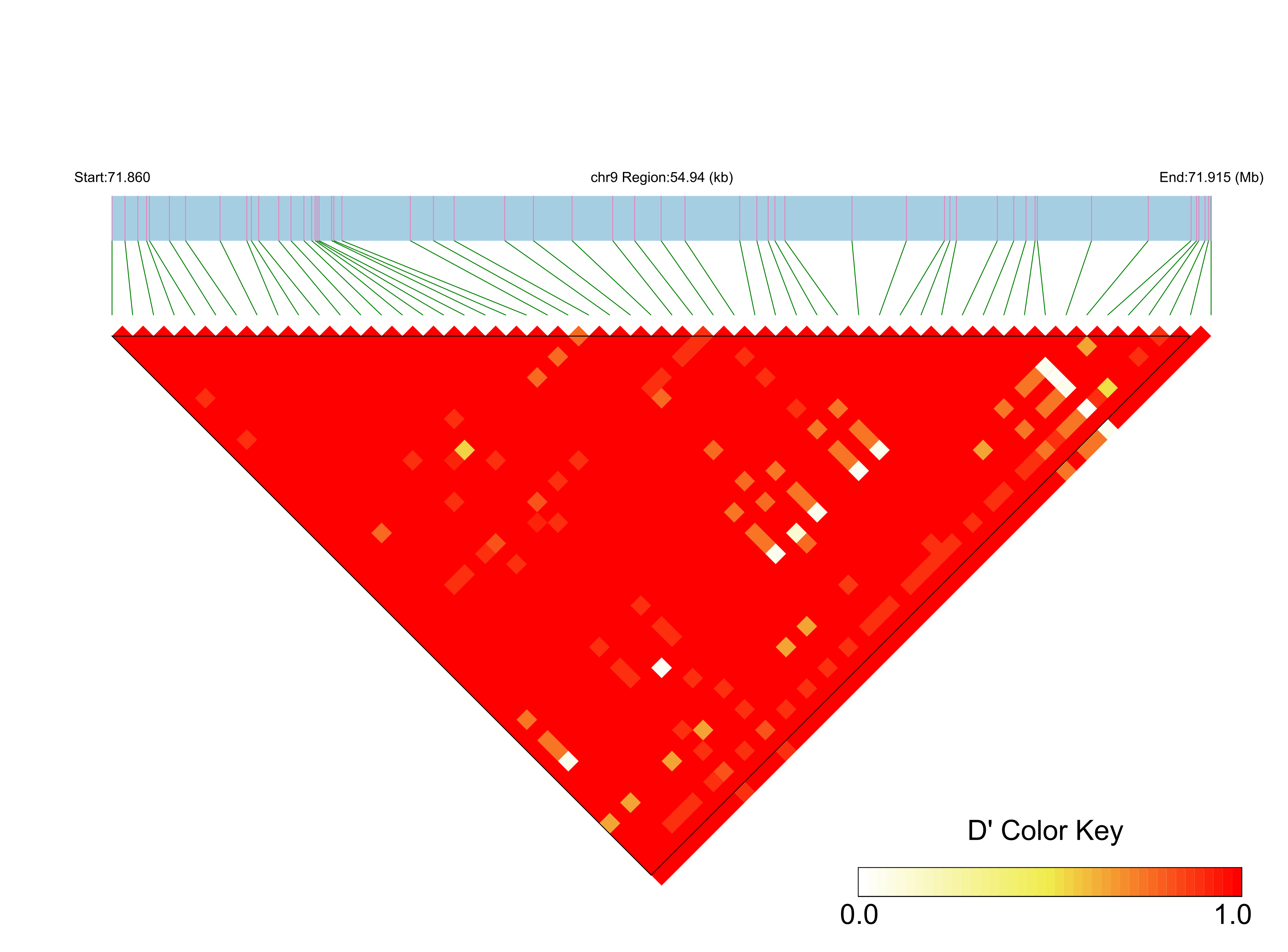 LD