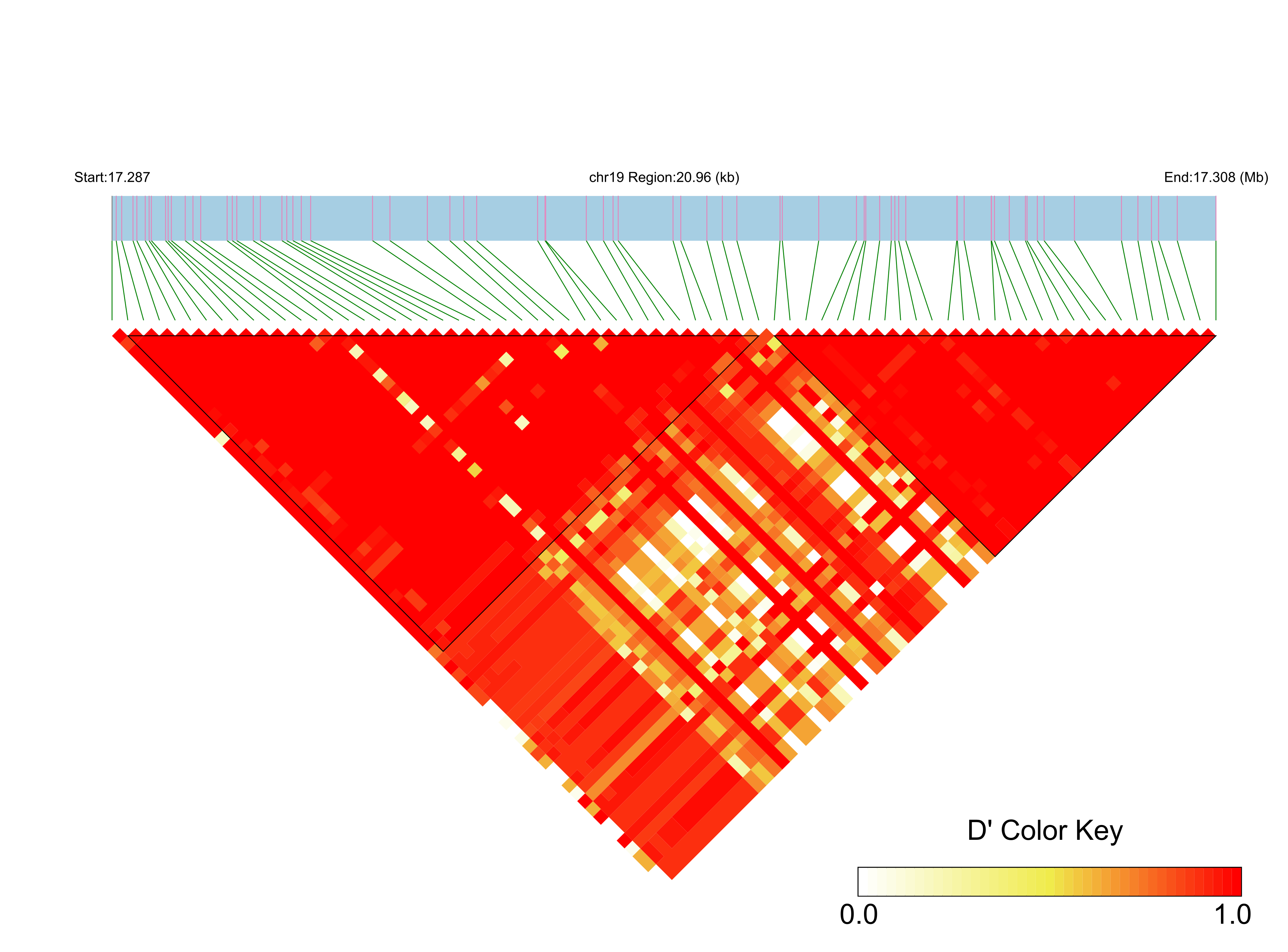LD