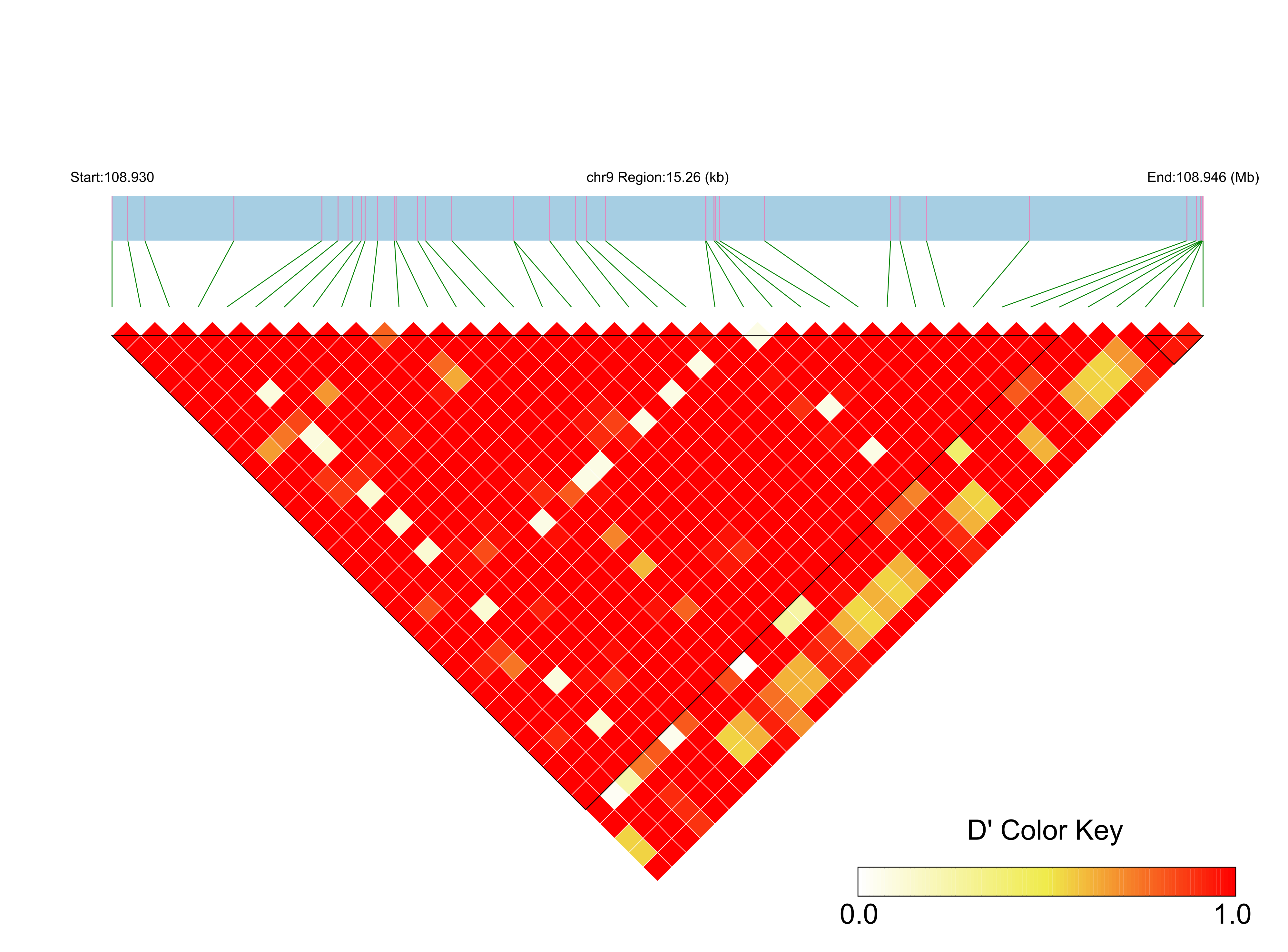 LD