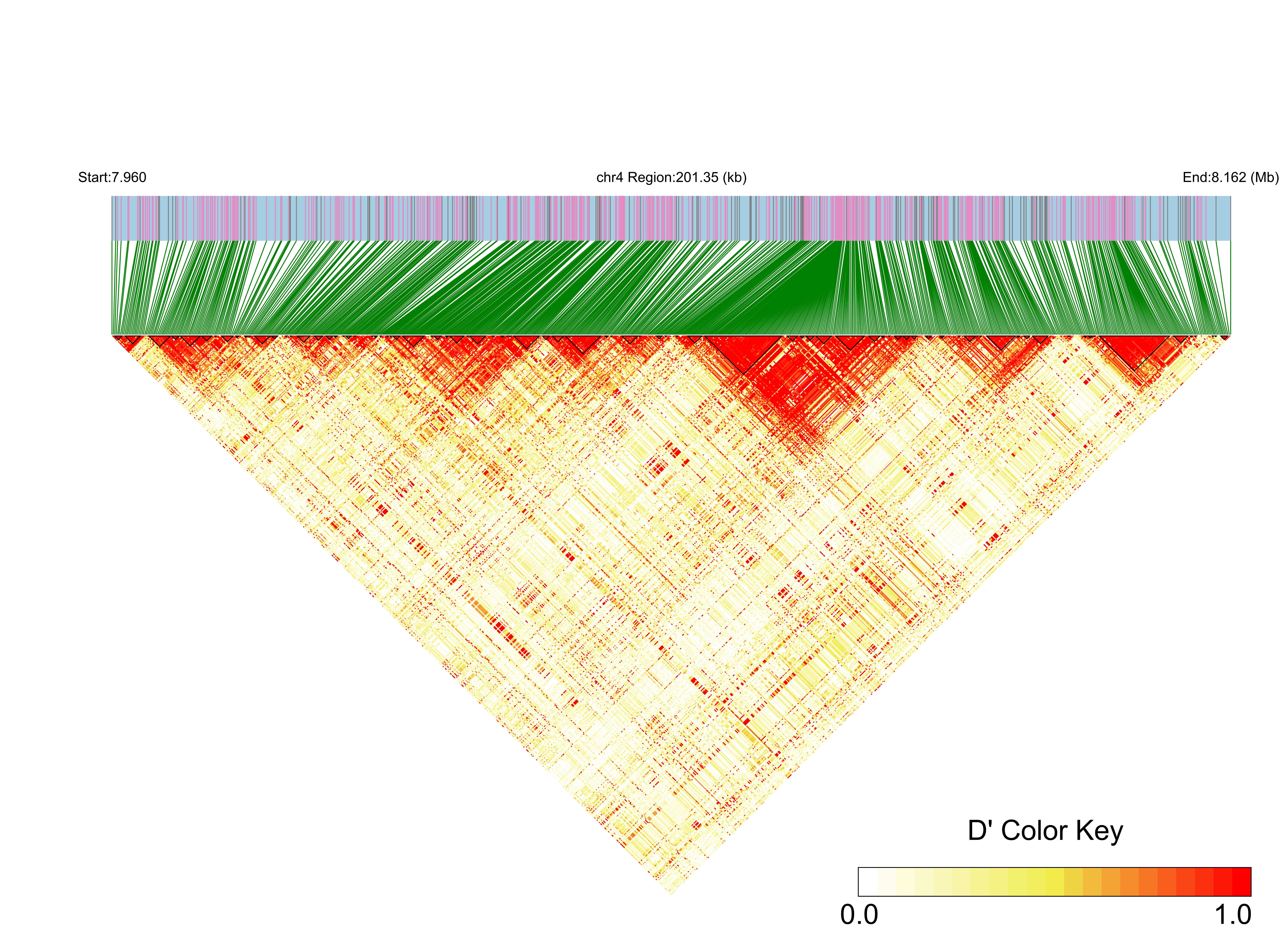LD