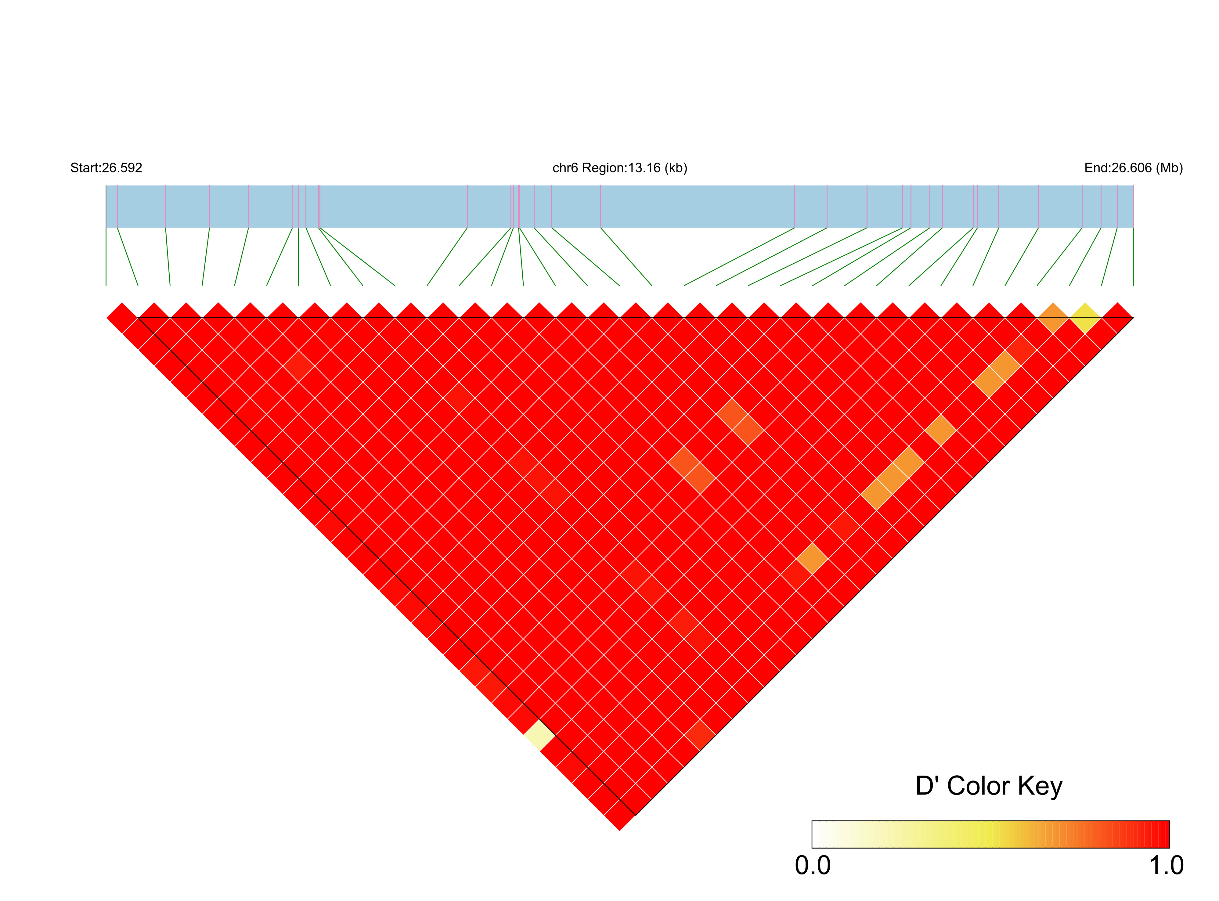 LD