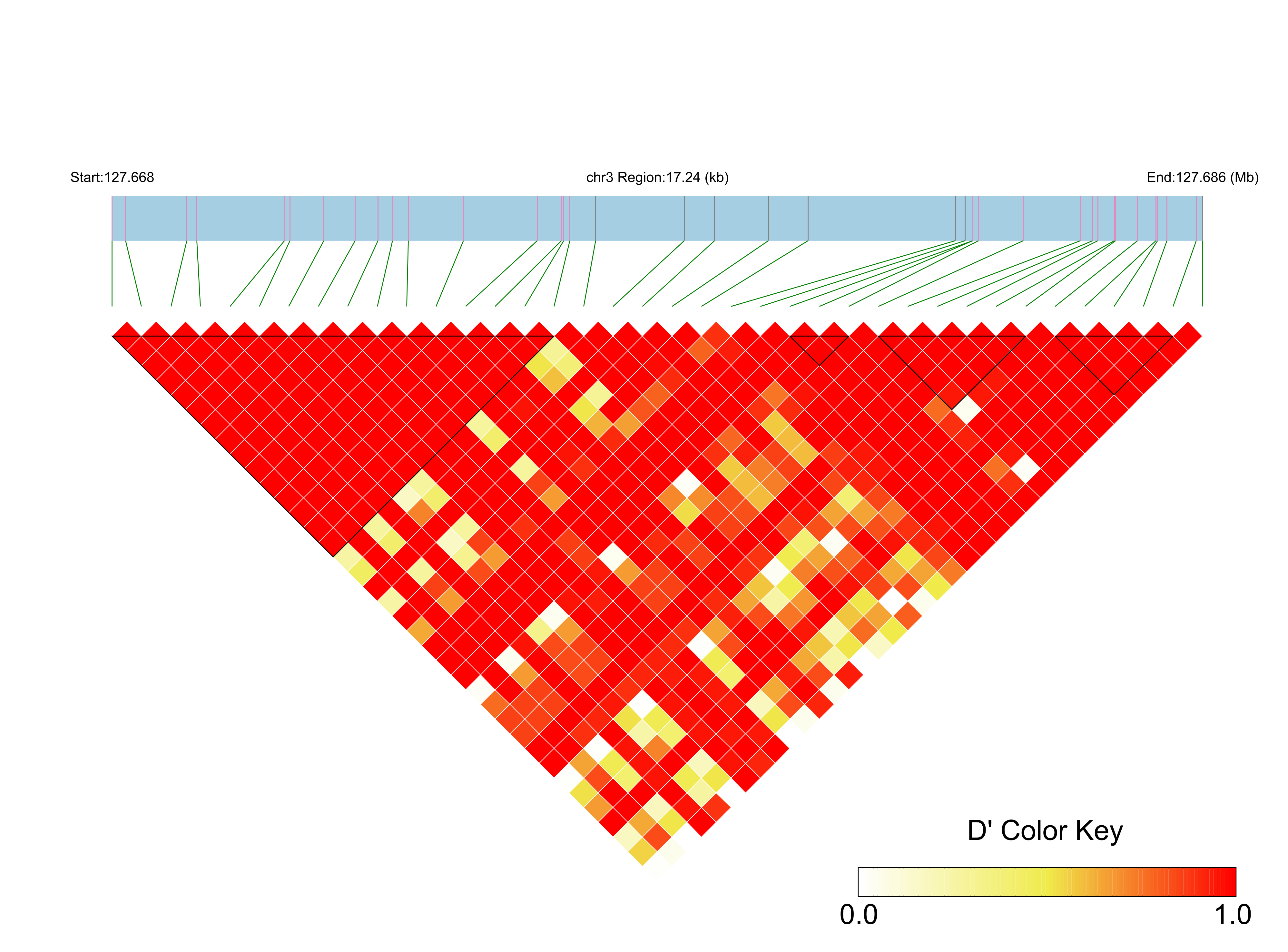LD