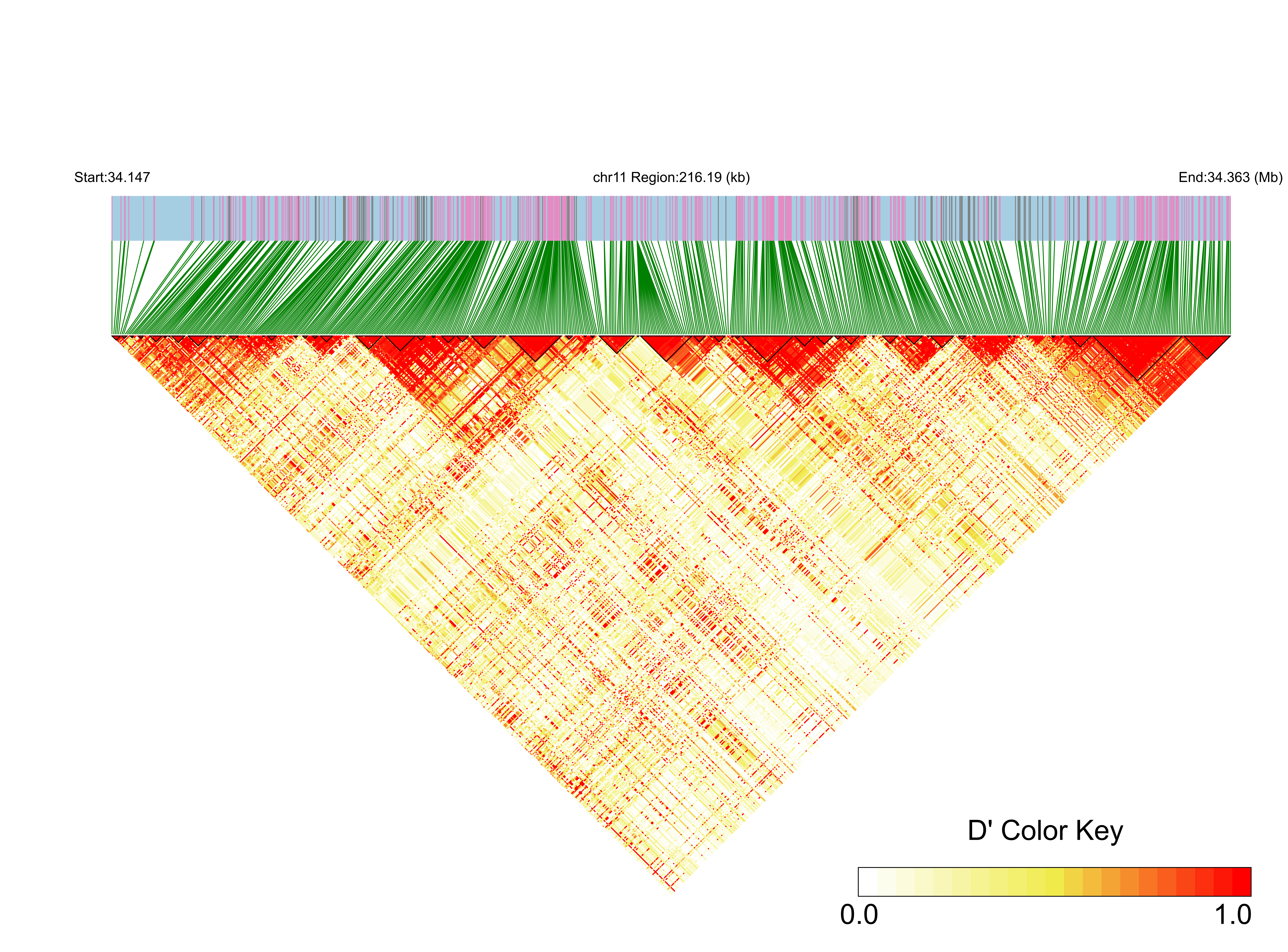 LD