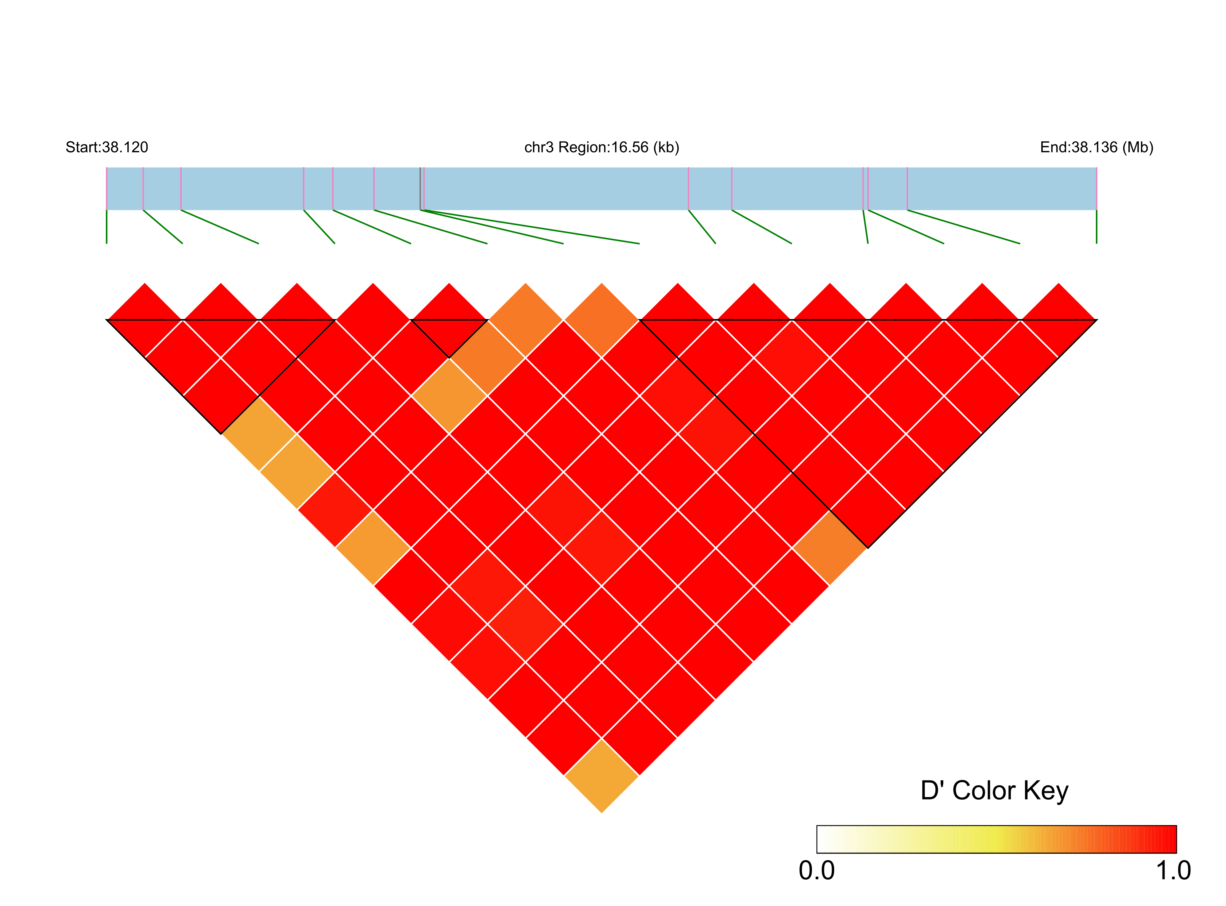 LD