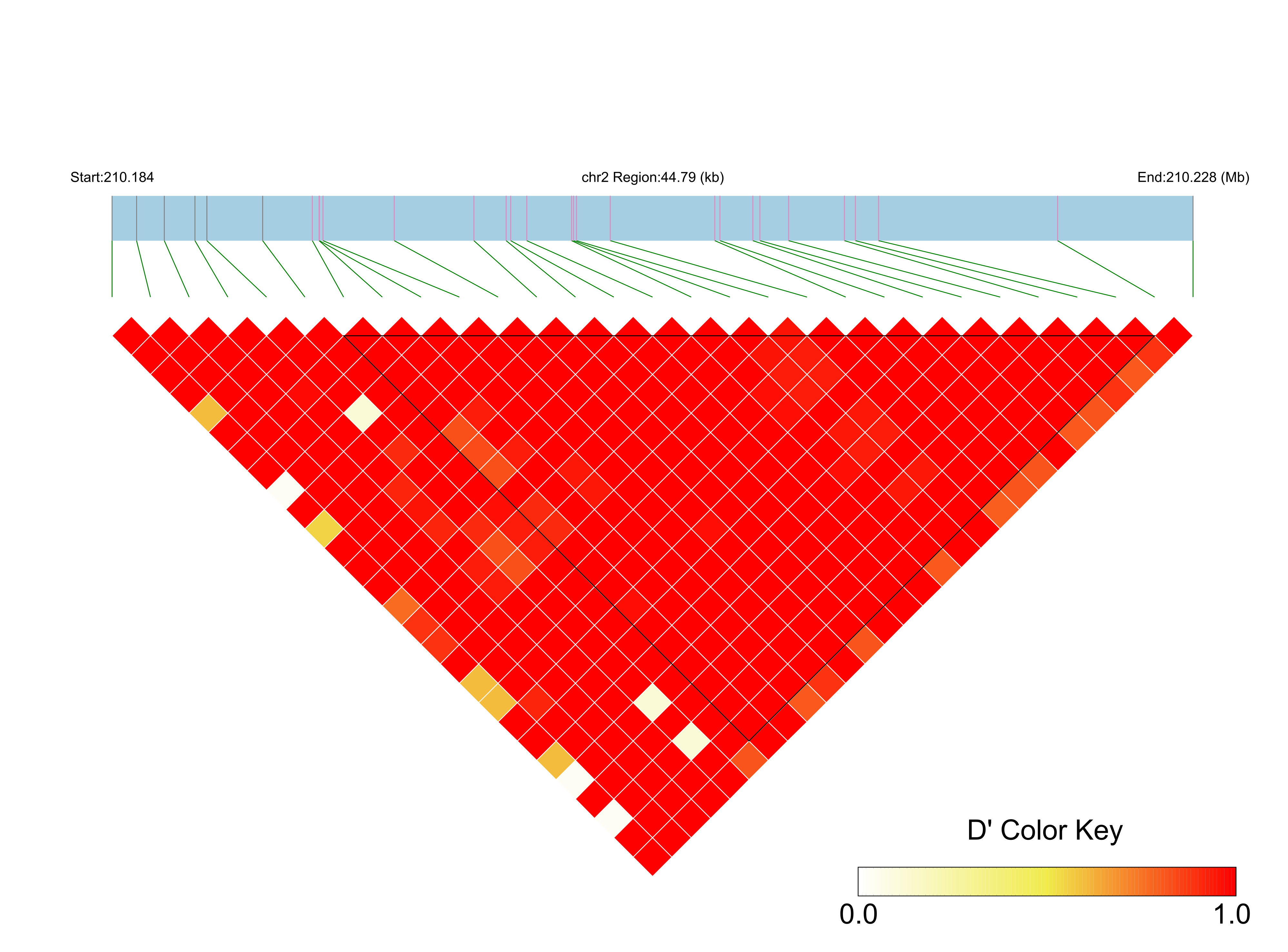 LD