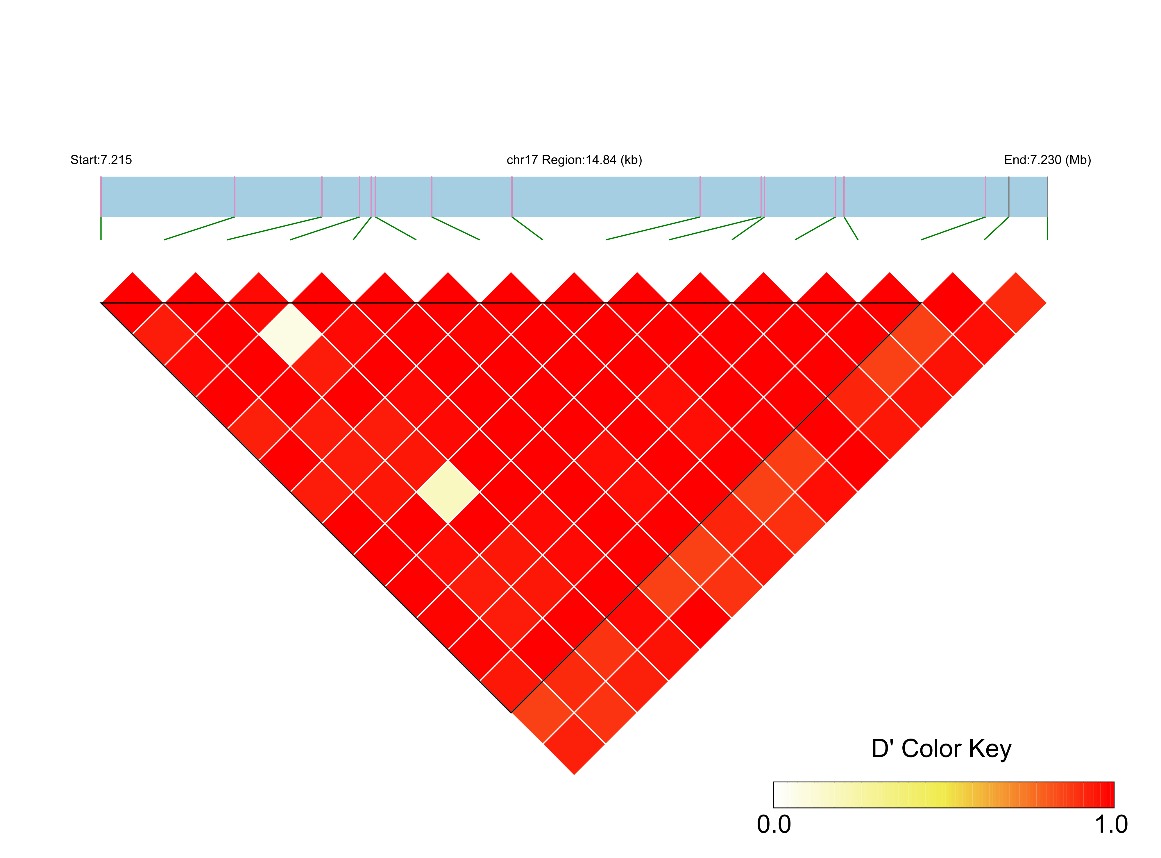 LD