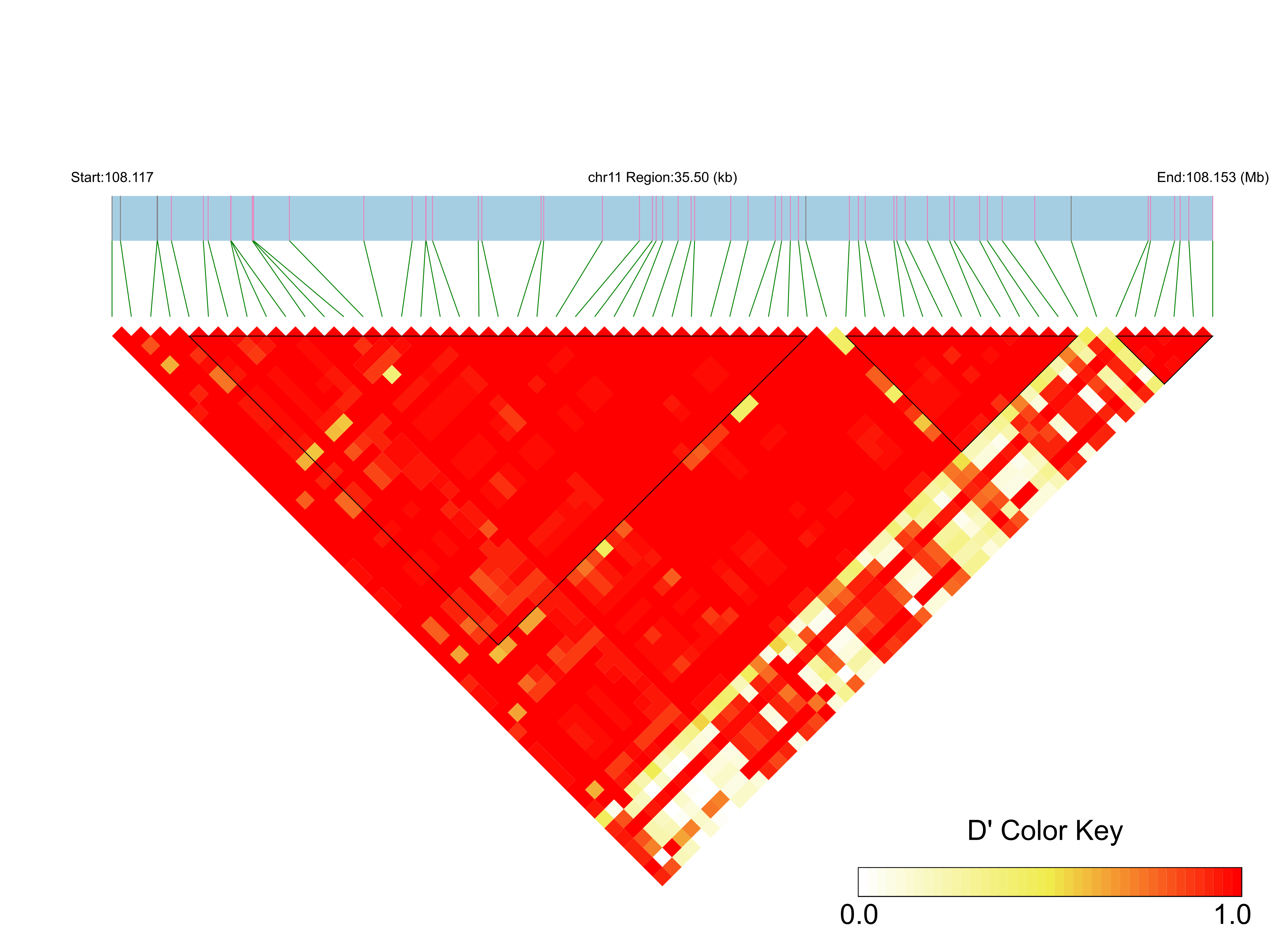 LD