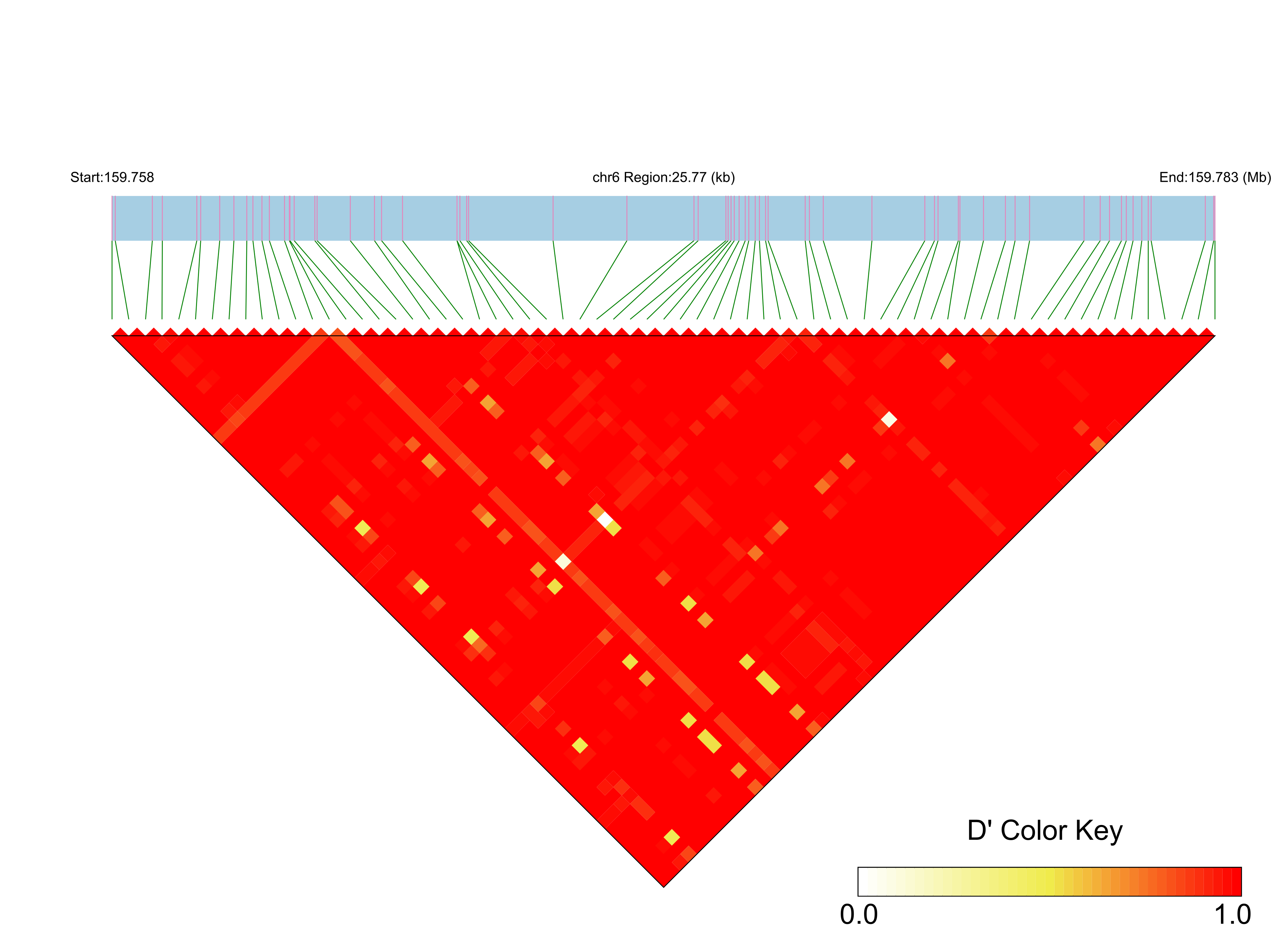 LD