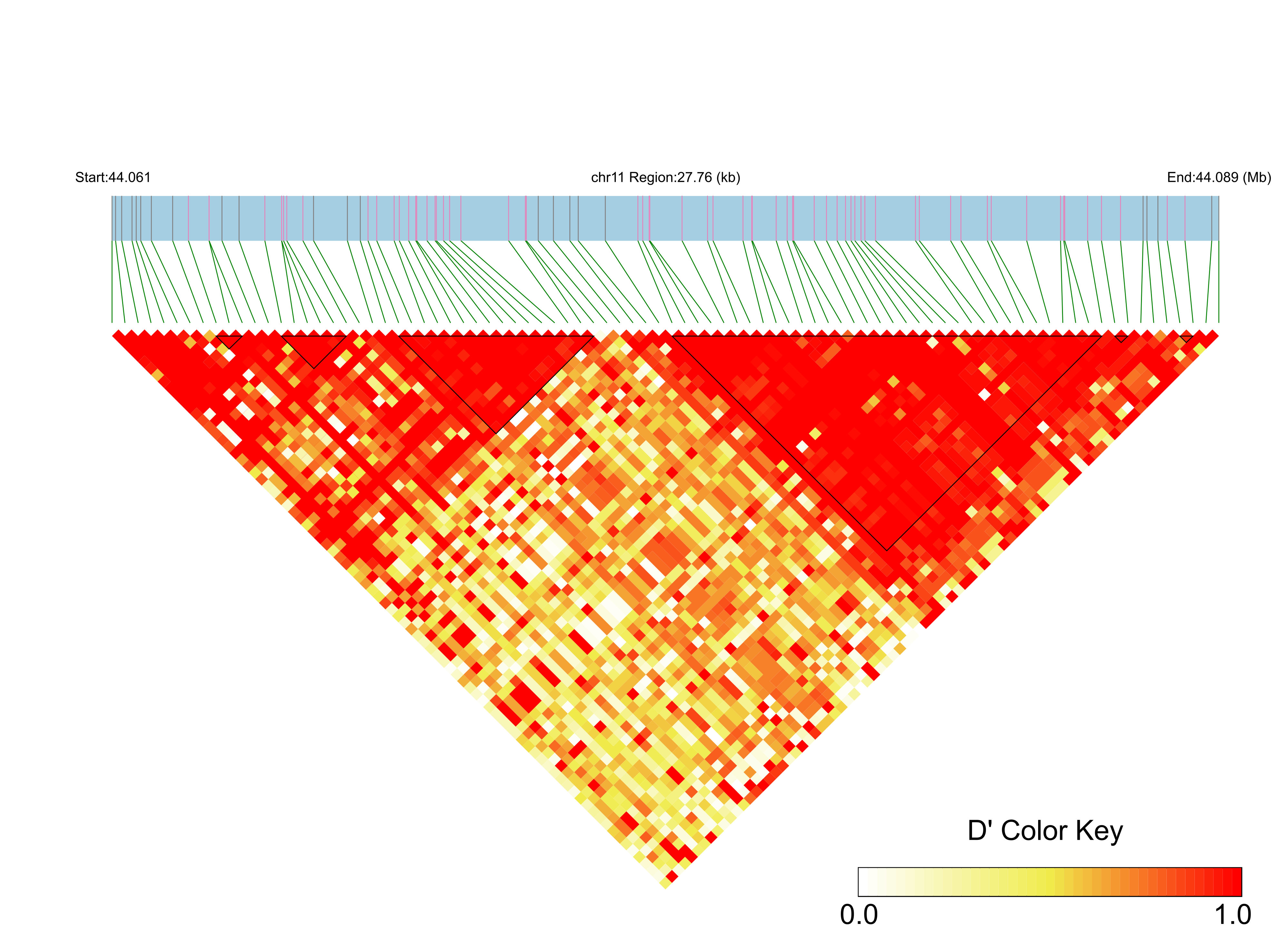 LD