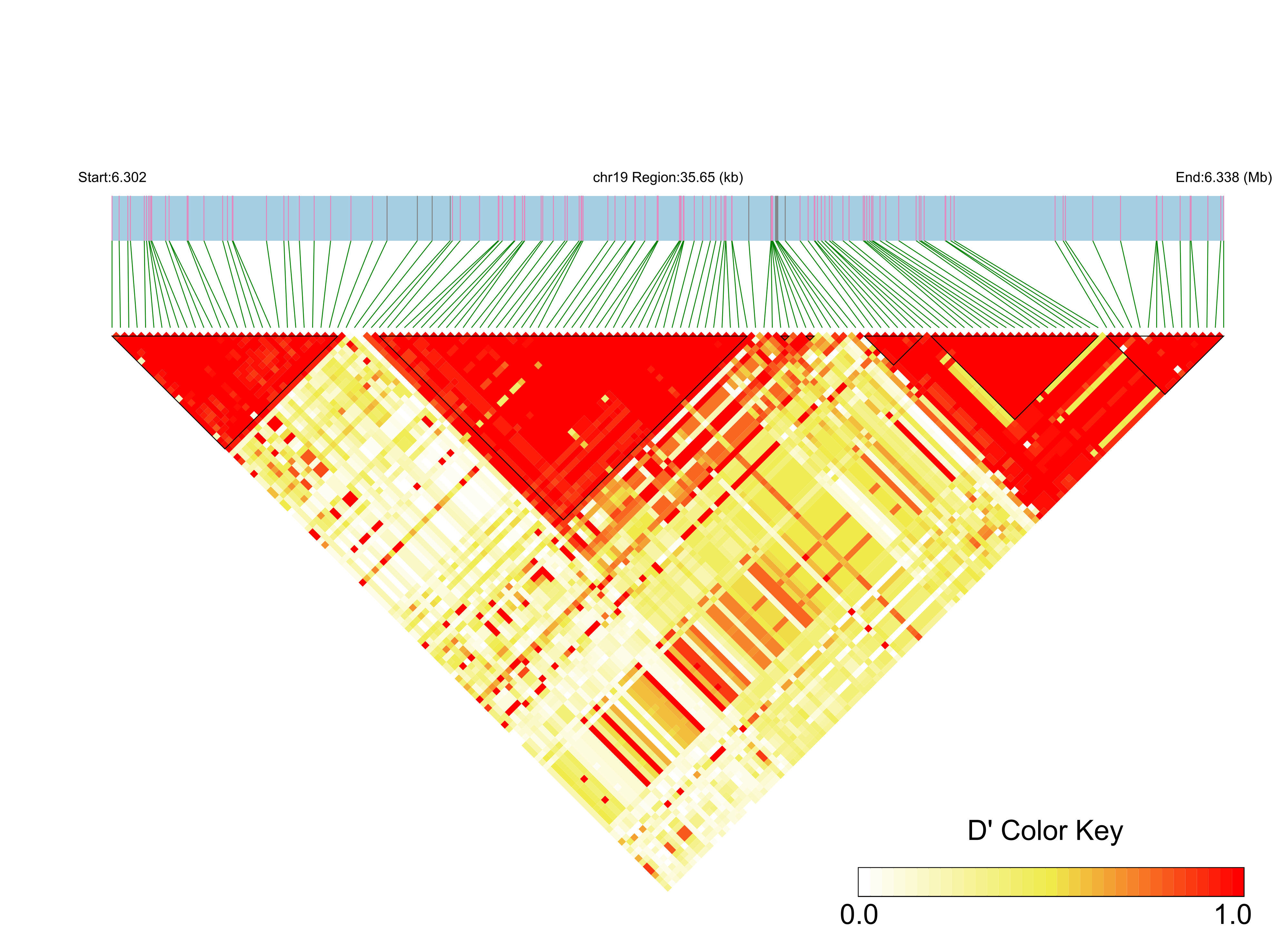 LD