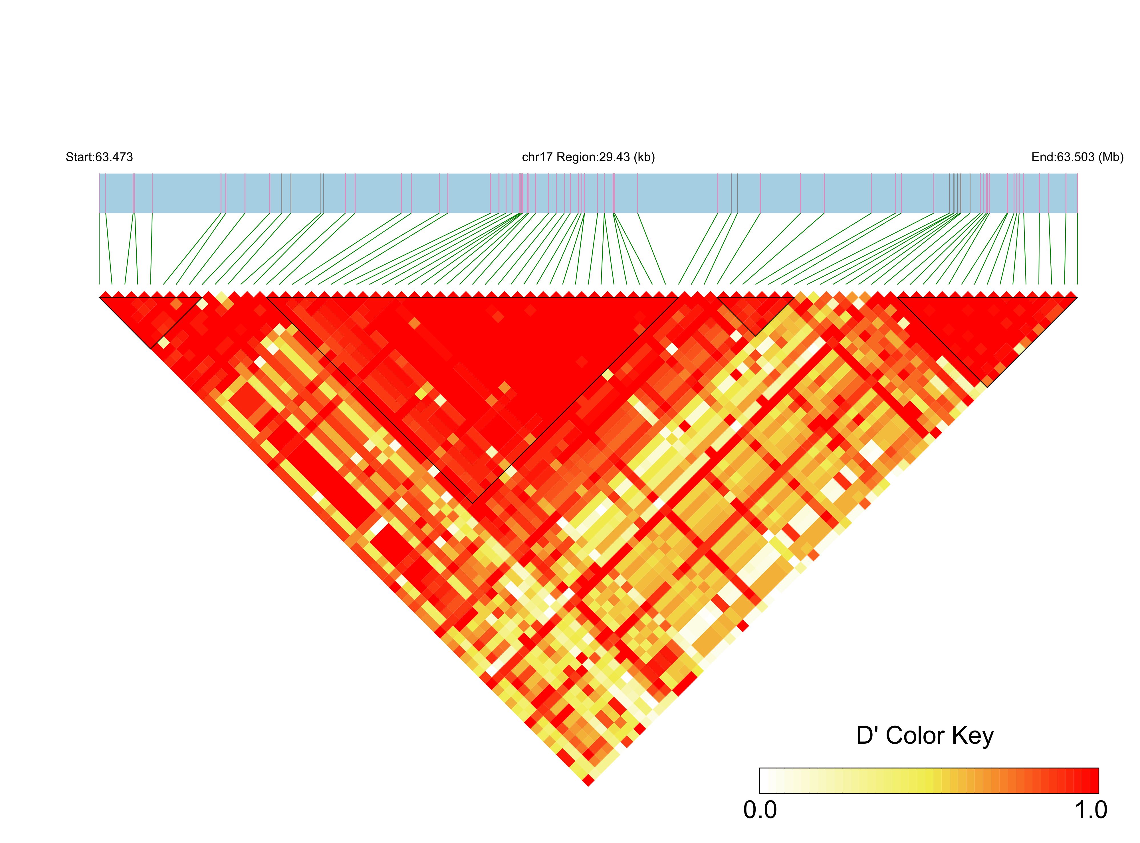 LD