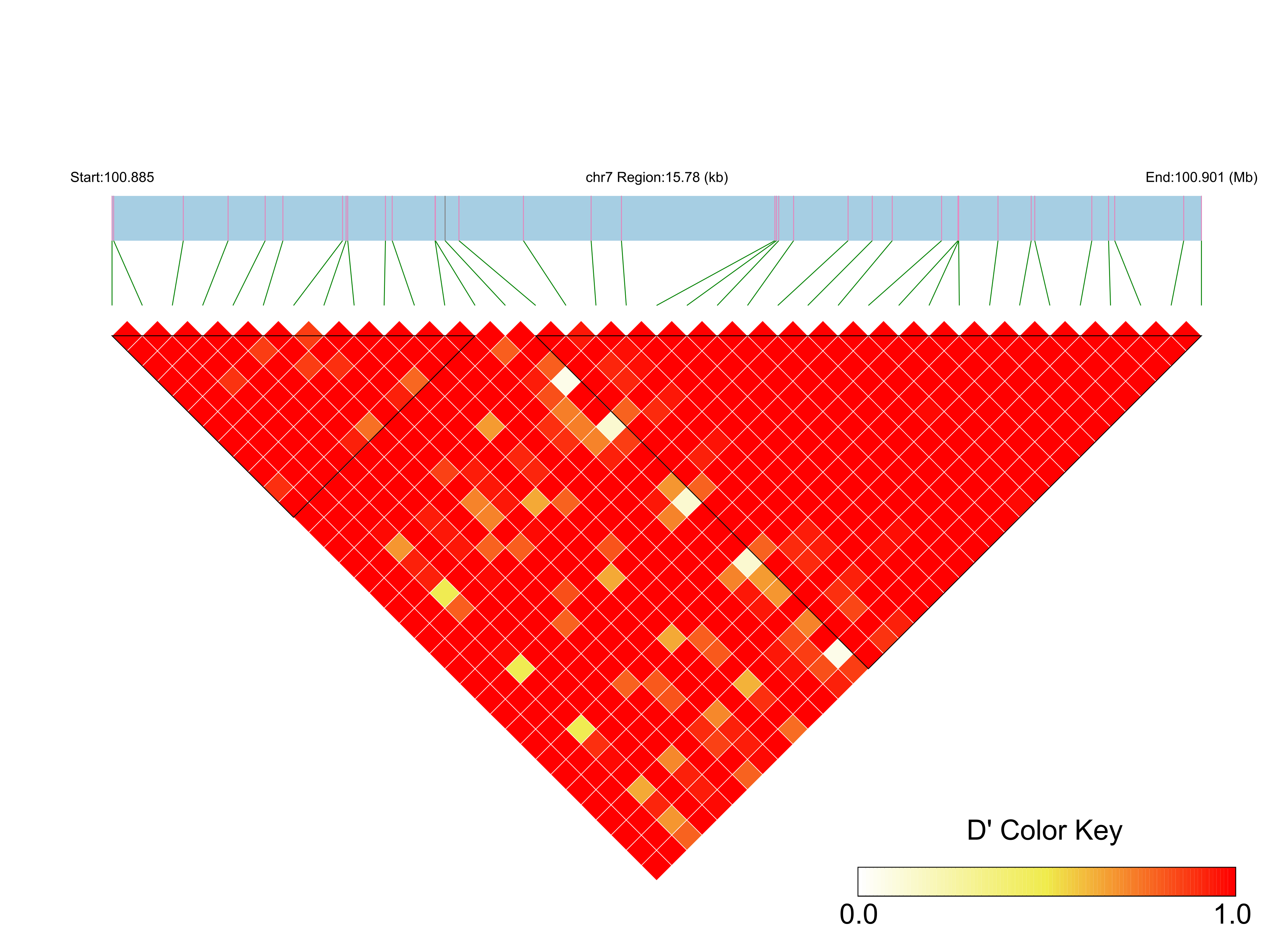 LD