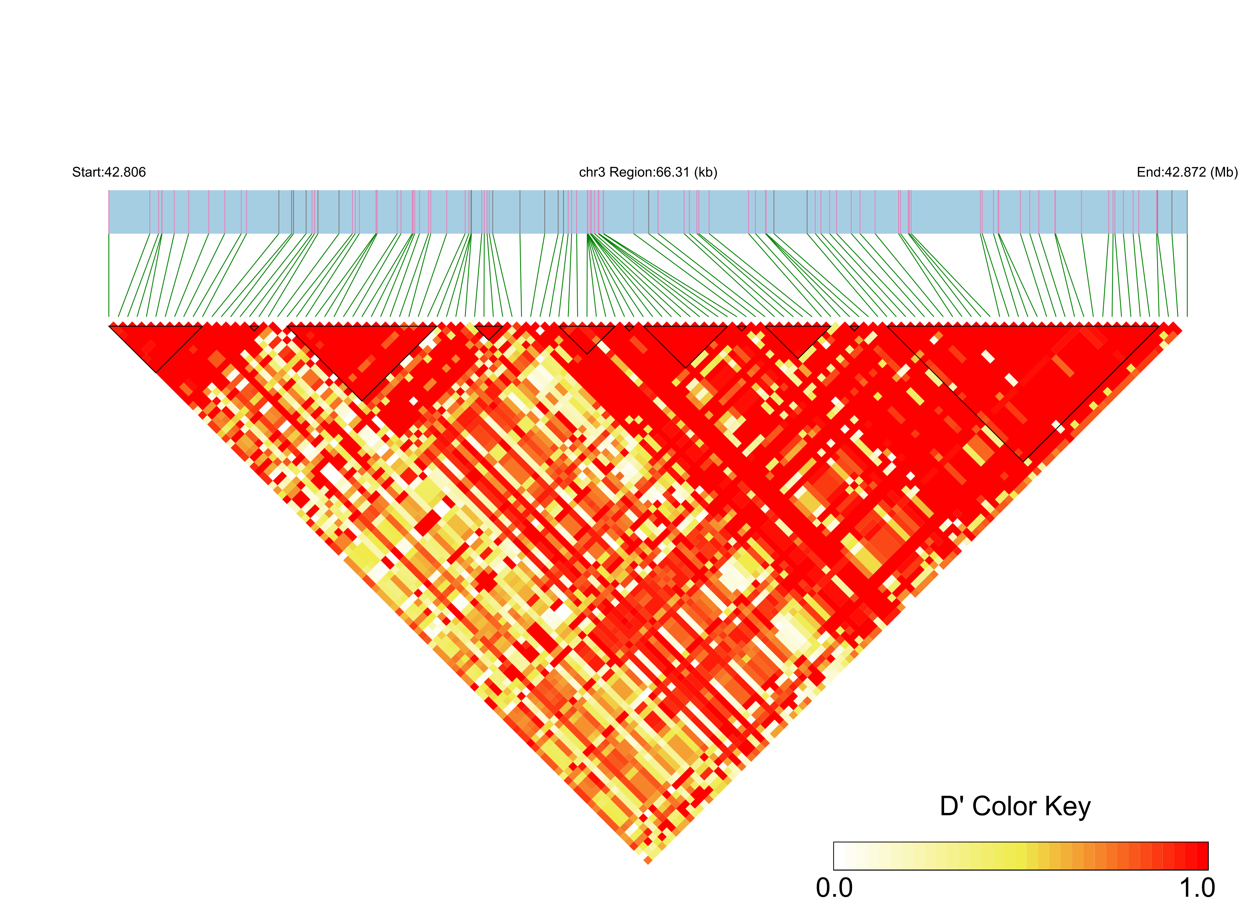LD