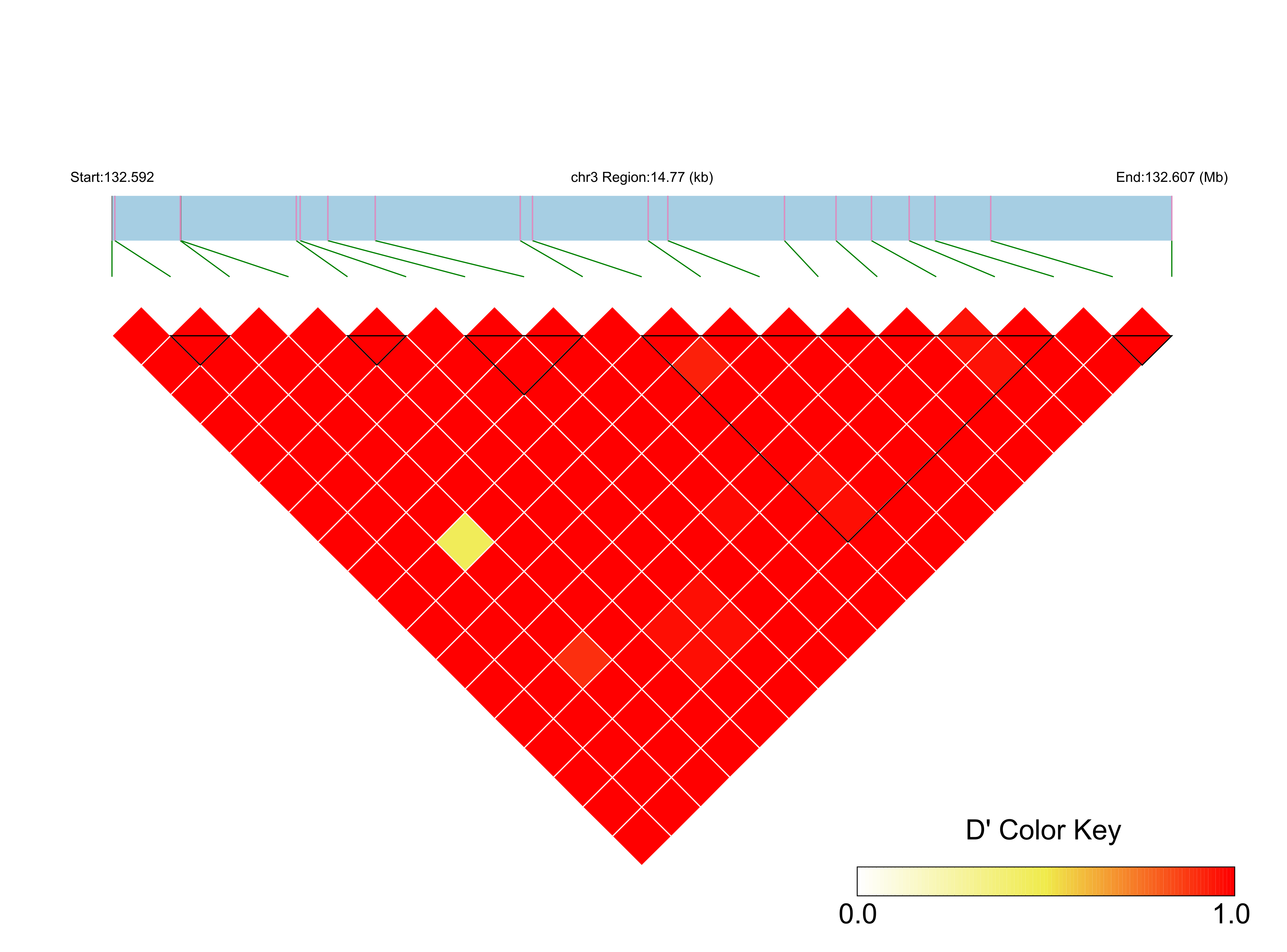 LD