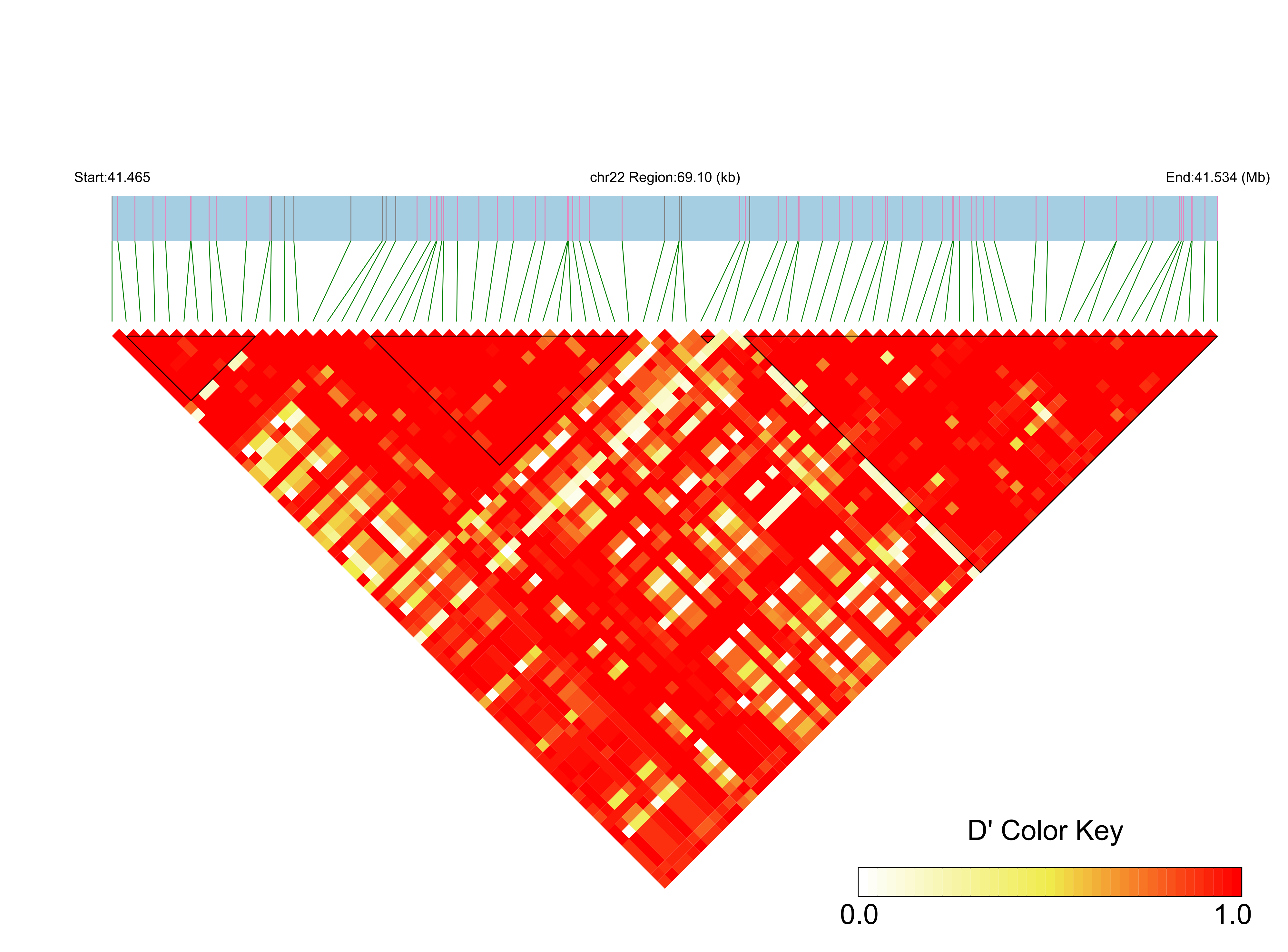 LD