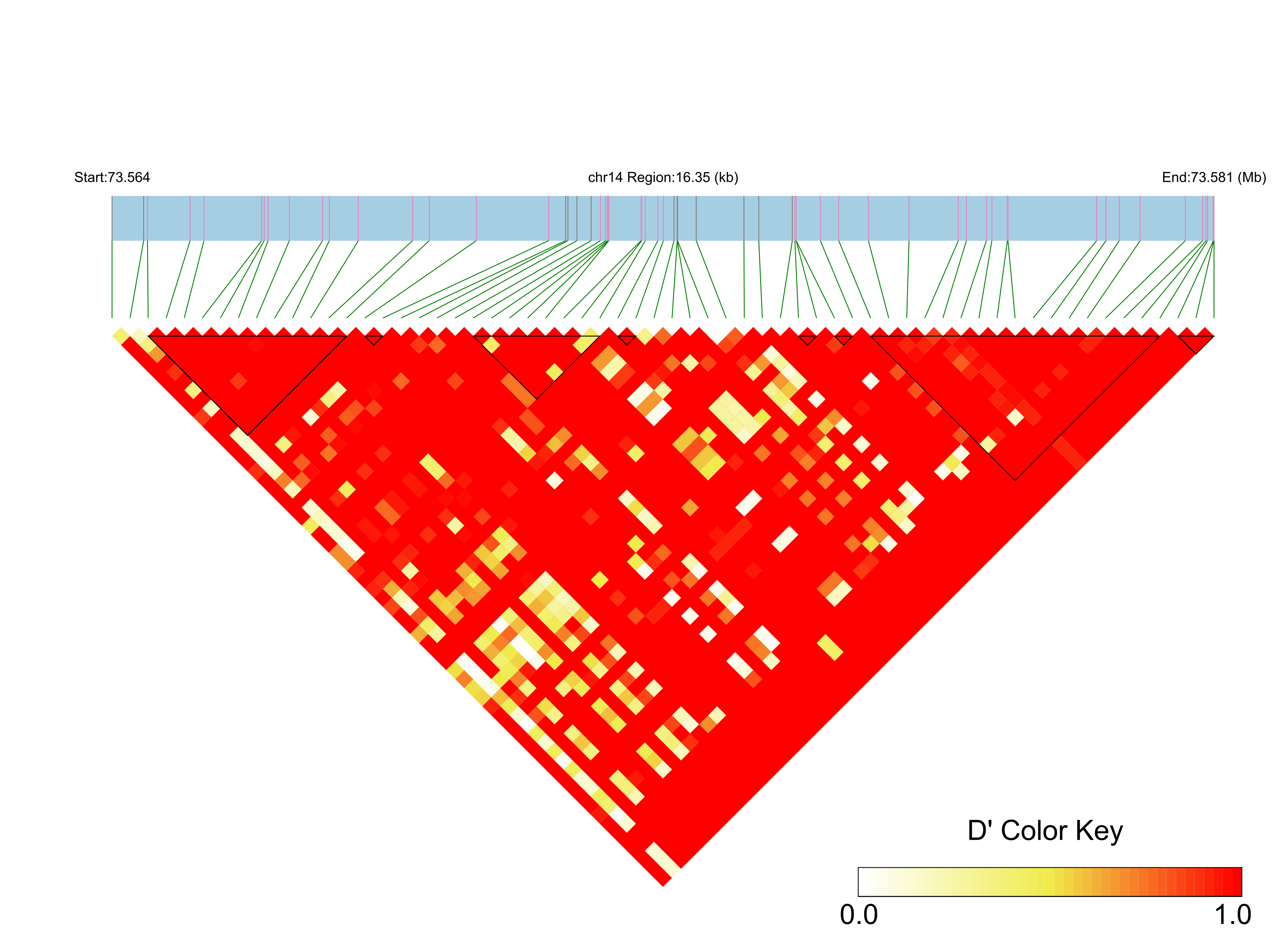 LD