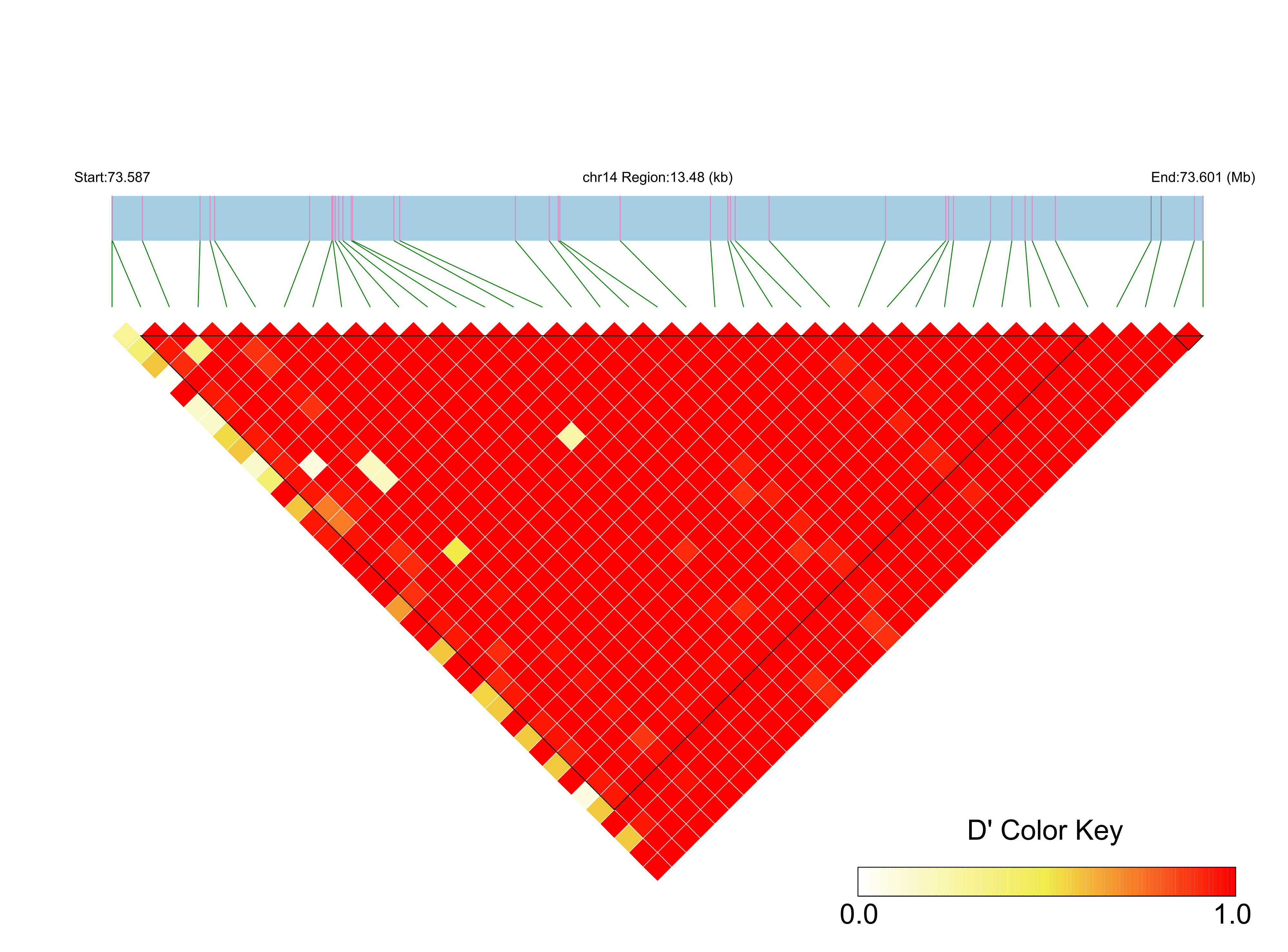 LD