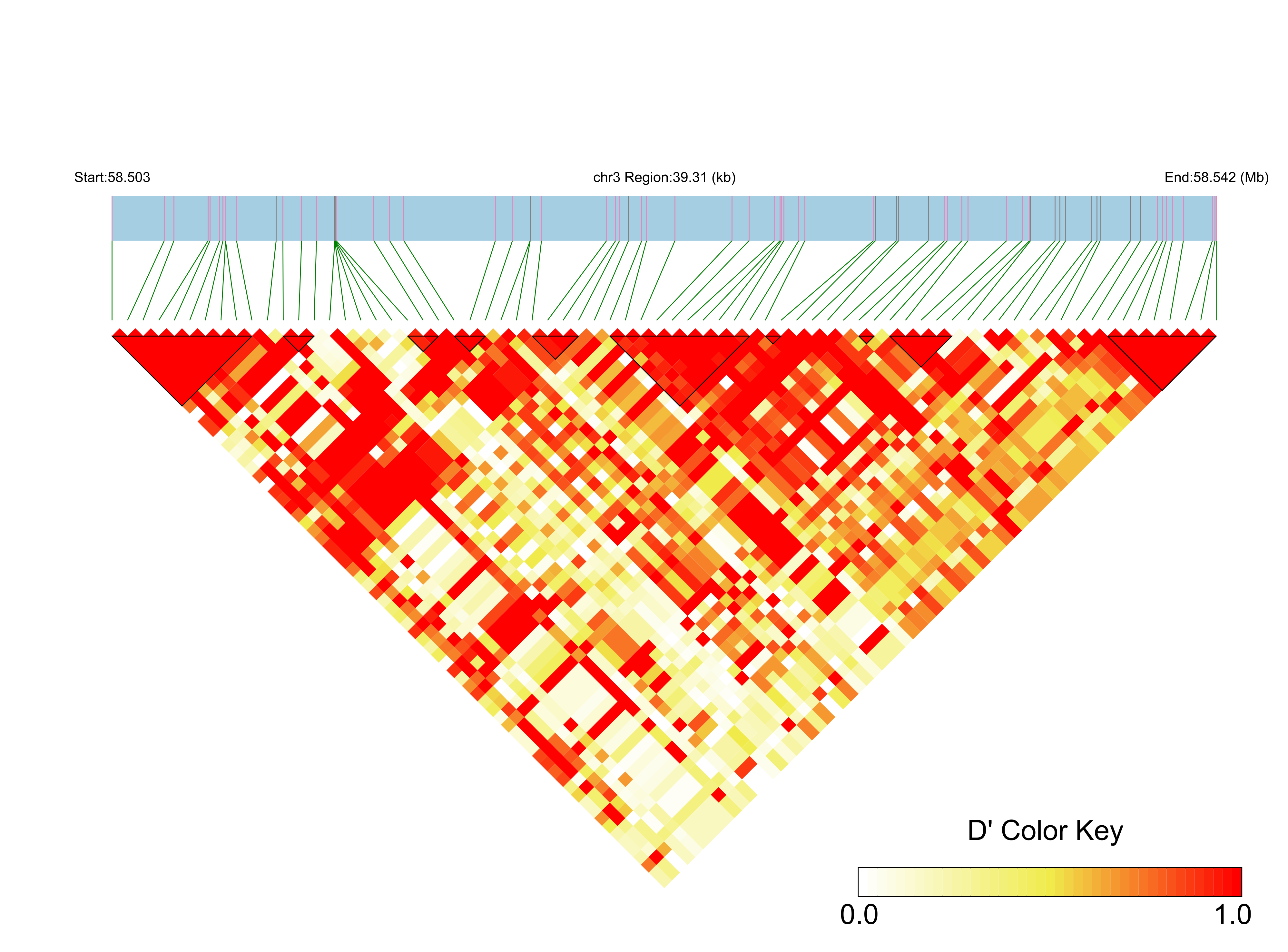 LD