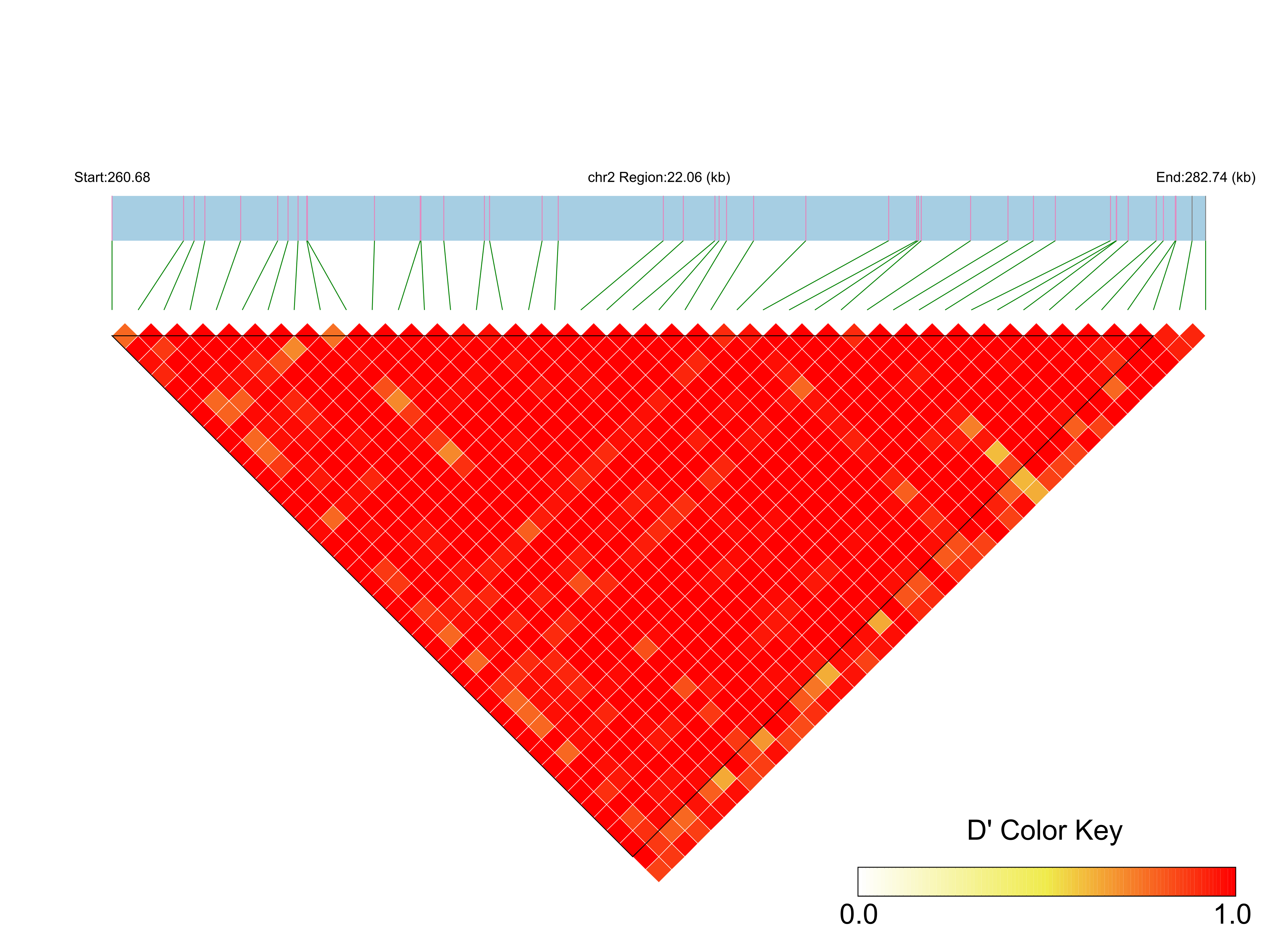 LD