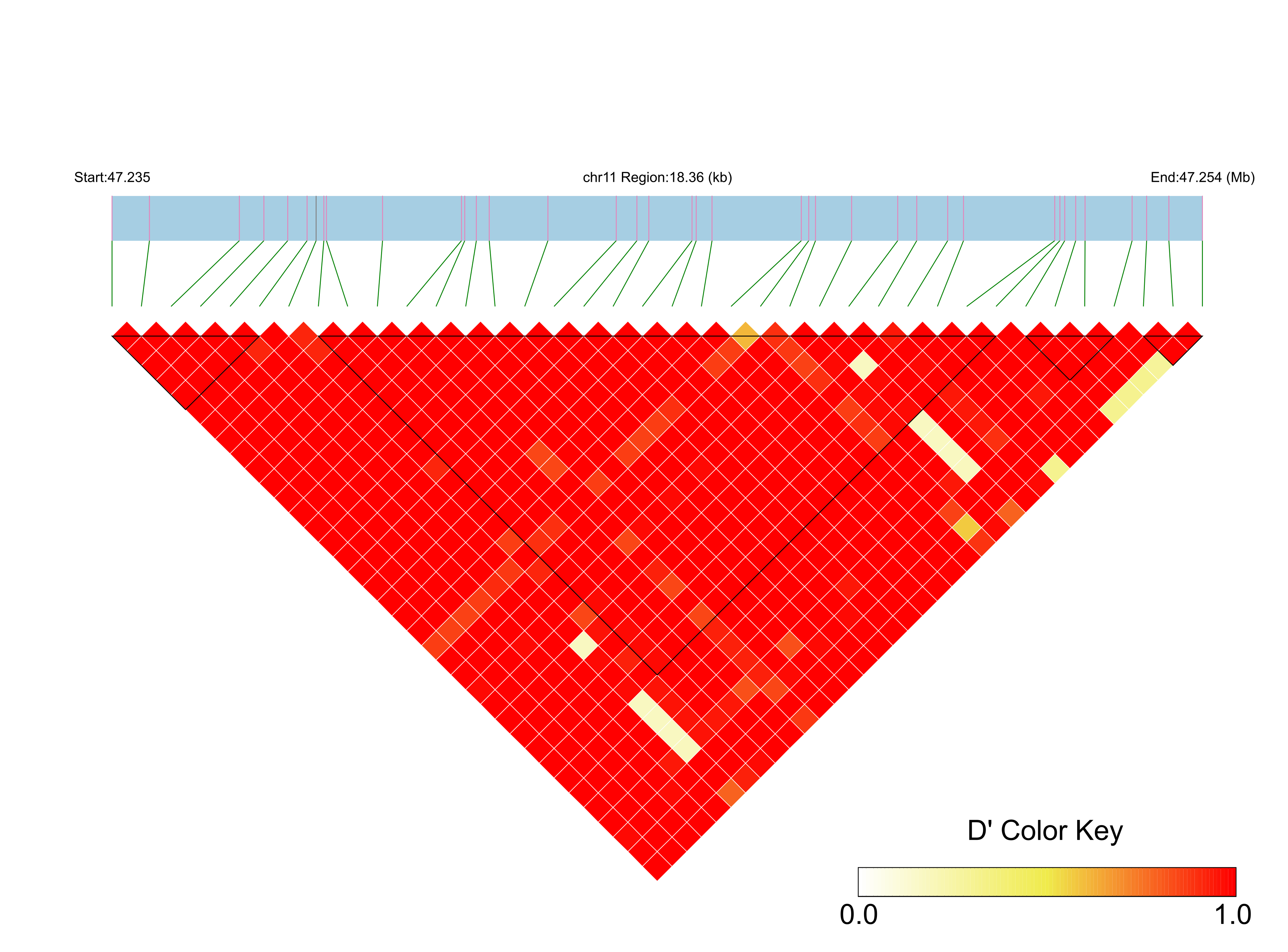 LD