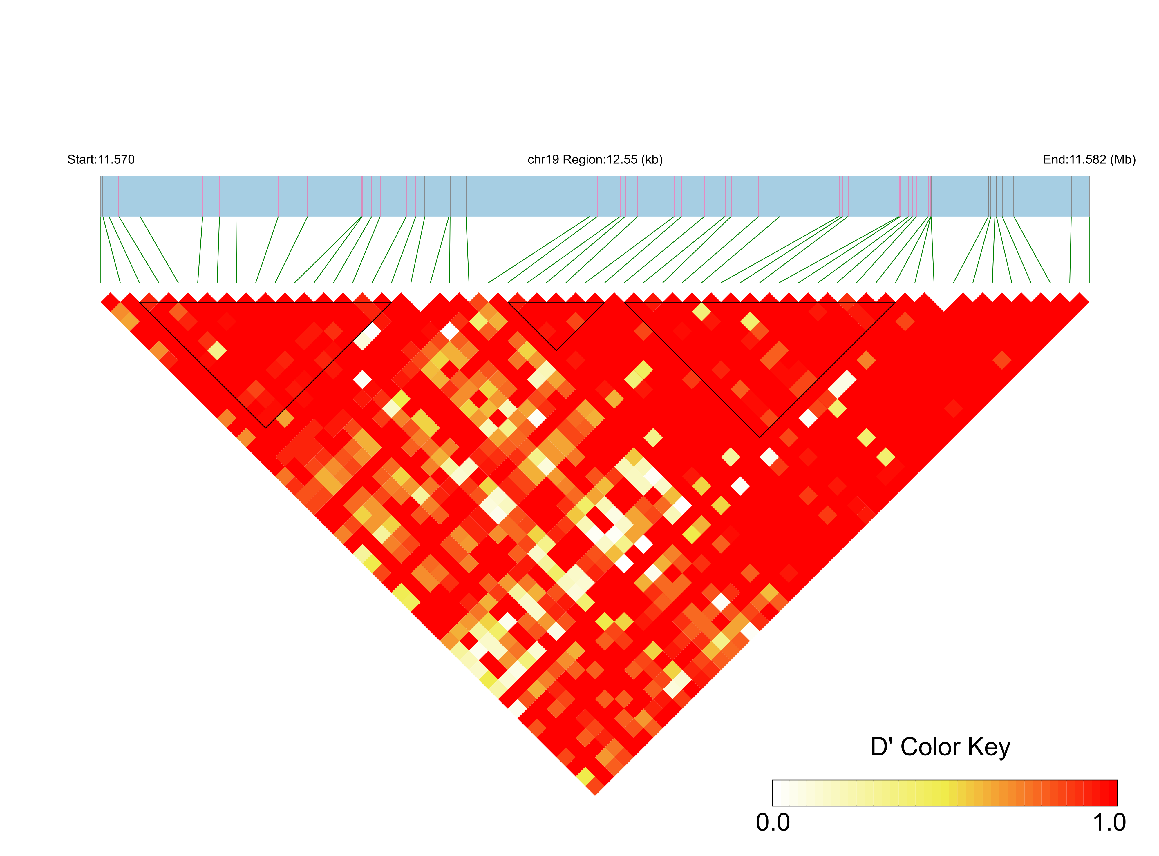 LD