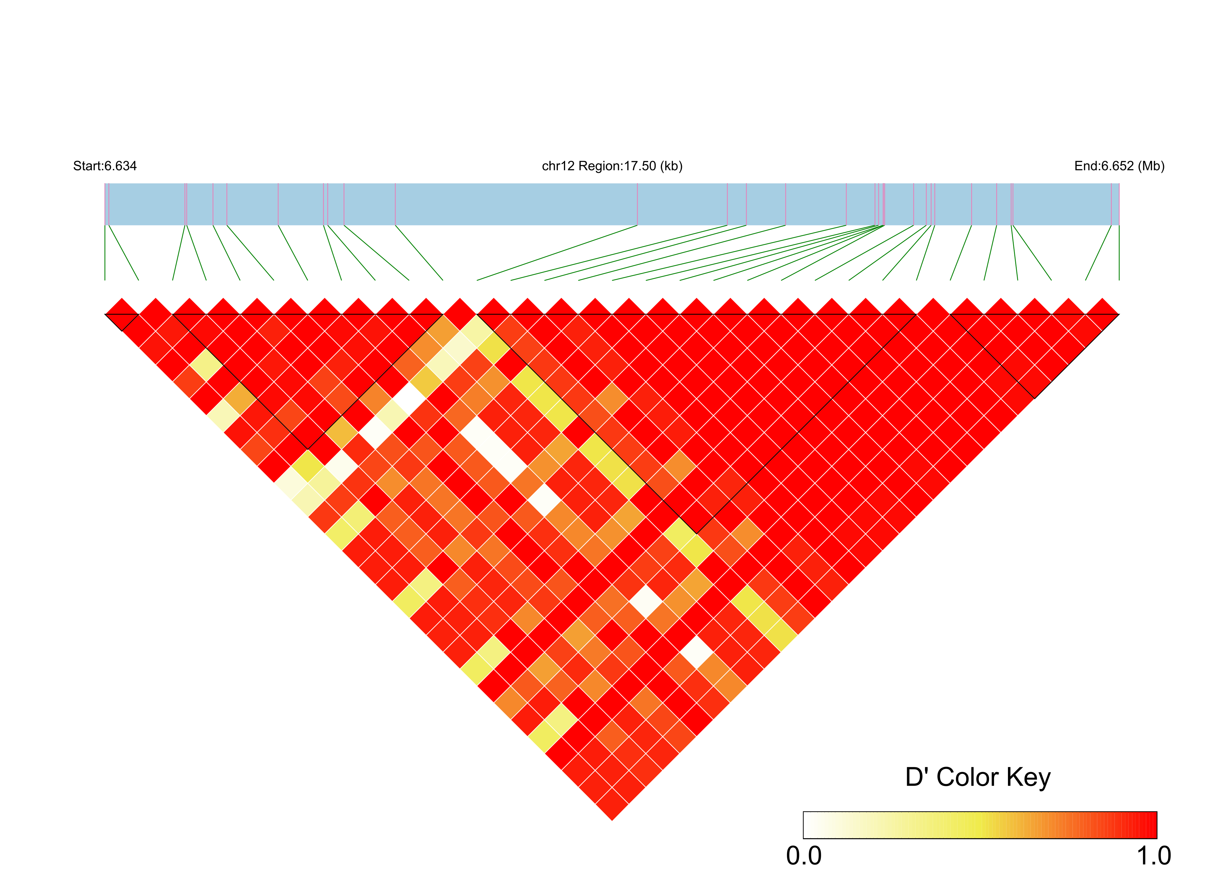 LD