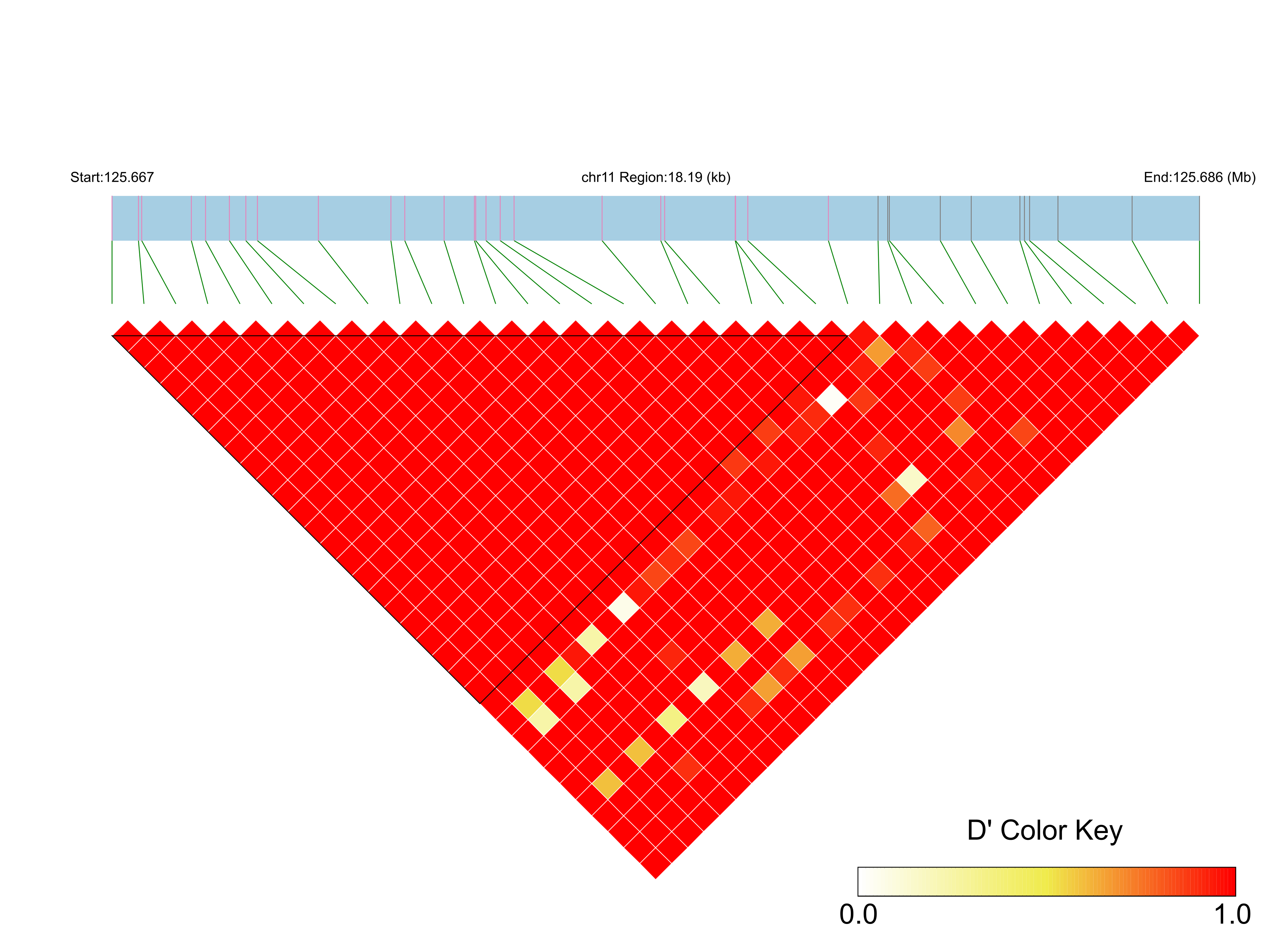 LD