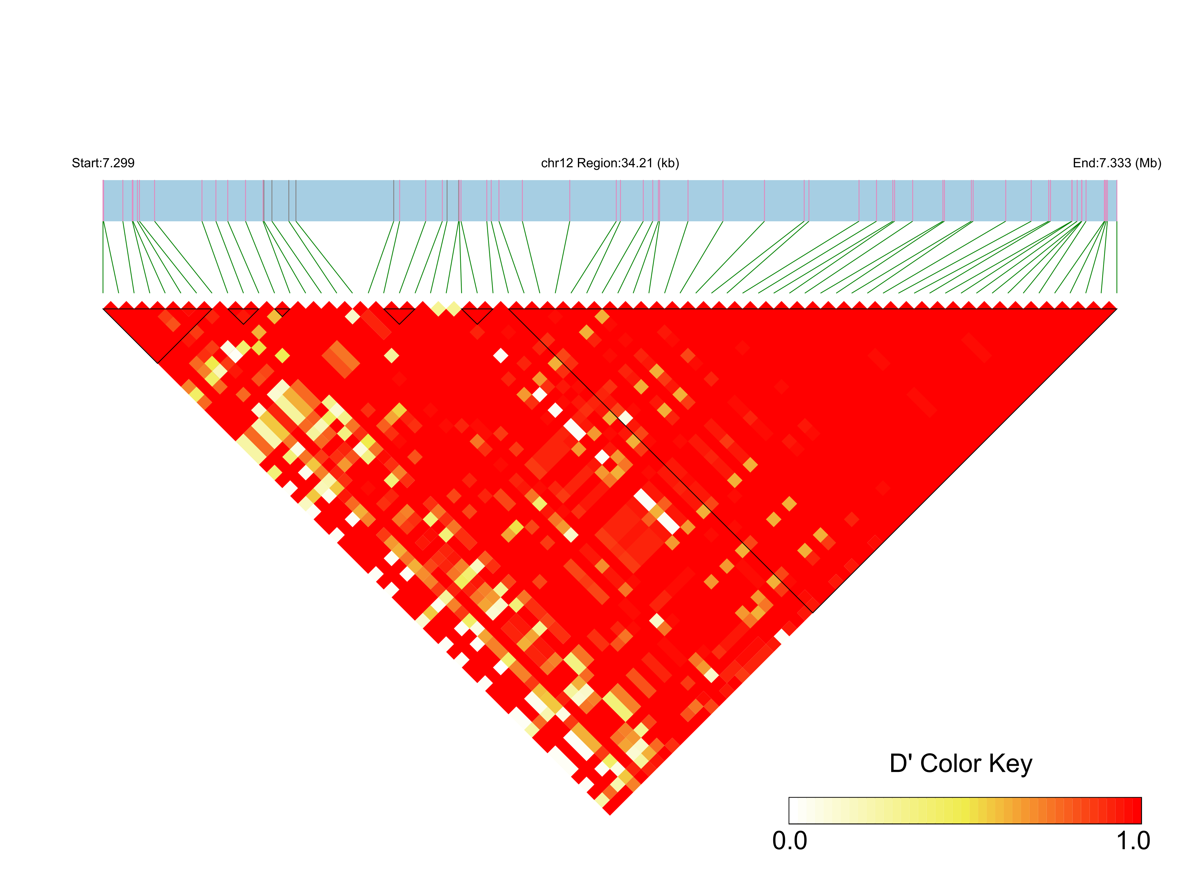 LD